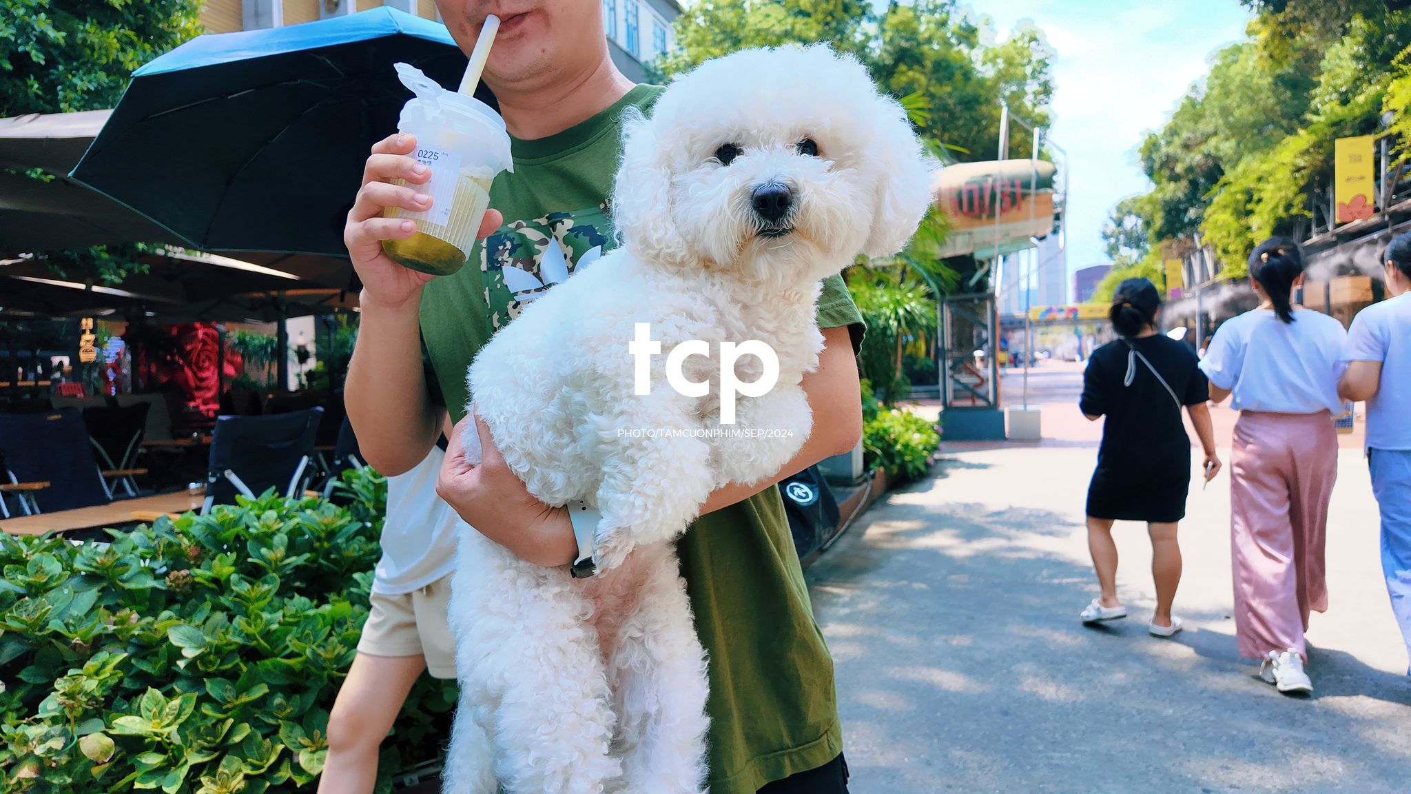 Tám Cuộn Phim - Những khoảnh khắc giao thoa giữa truyền thống và hiện đại