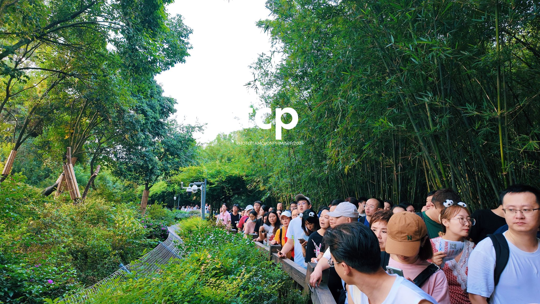 Tám Cuộn Phim - Những khoảnh khắc giao thoa giữa truyền thống và hiện đại