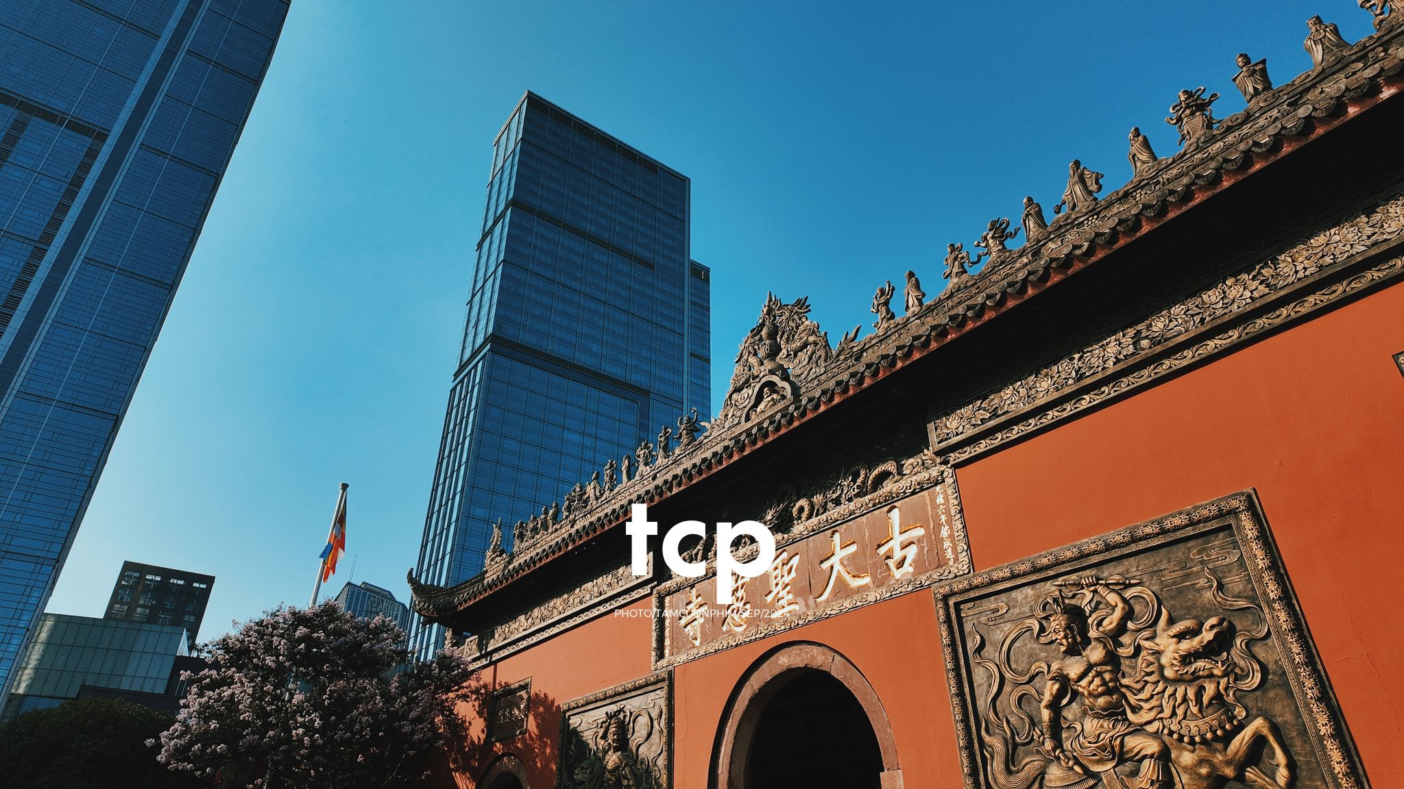 Tám Cuộn Phim - Những khoảnh khắc giao thoa giữa truyền thống và hiện đại