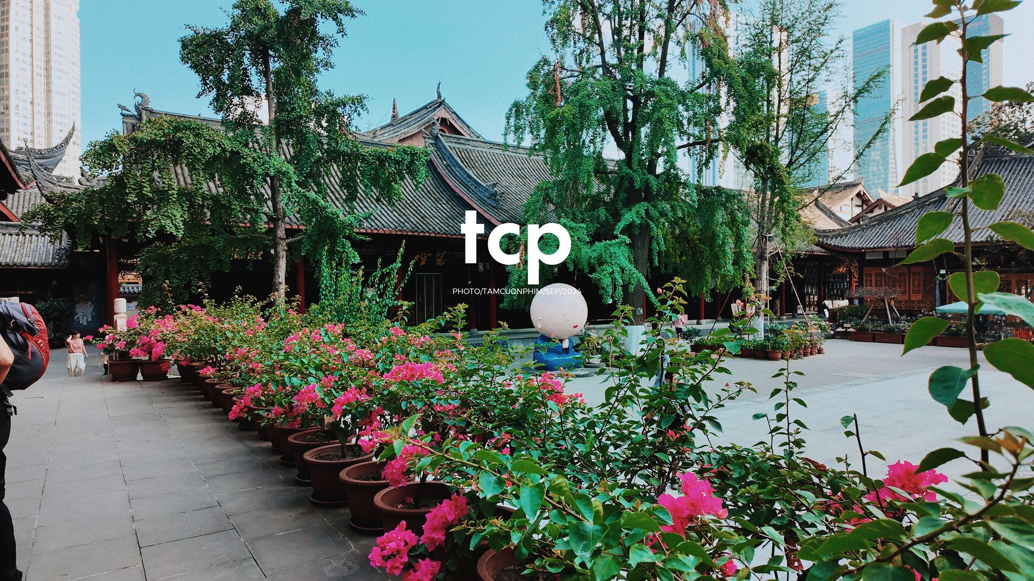 Tám Cuộn Phim - Những khoảnh khắc giao thoa giữa truyền thống và hiện đại