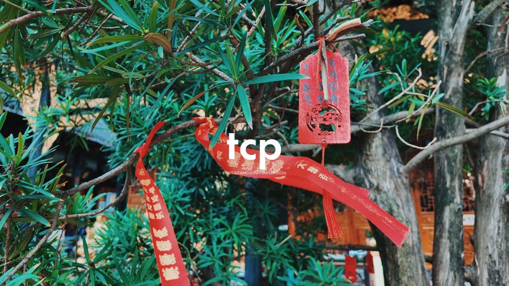 Tám Cuộn Phim - Những khoảnh khắc giao thoa giữa truyền thống và hiện đại