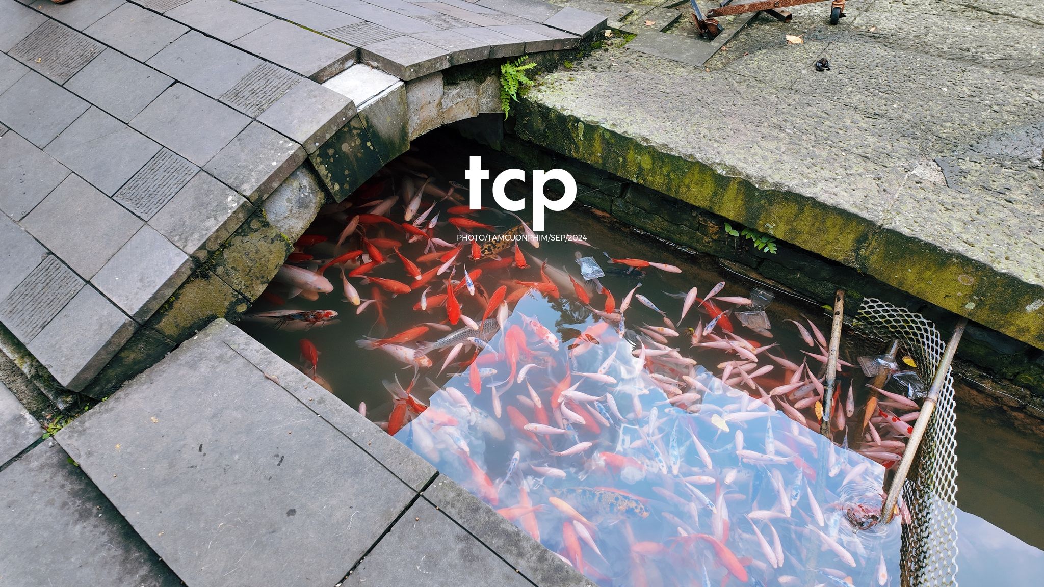 Tám Cuộn Phim - Những nhịp sống nhẹ nhàng nơi xứ sở gấu trúc