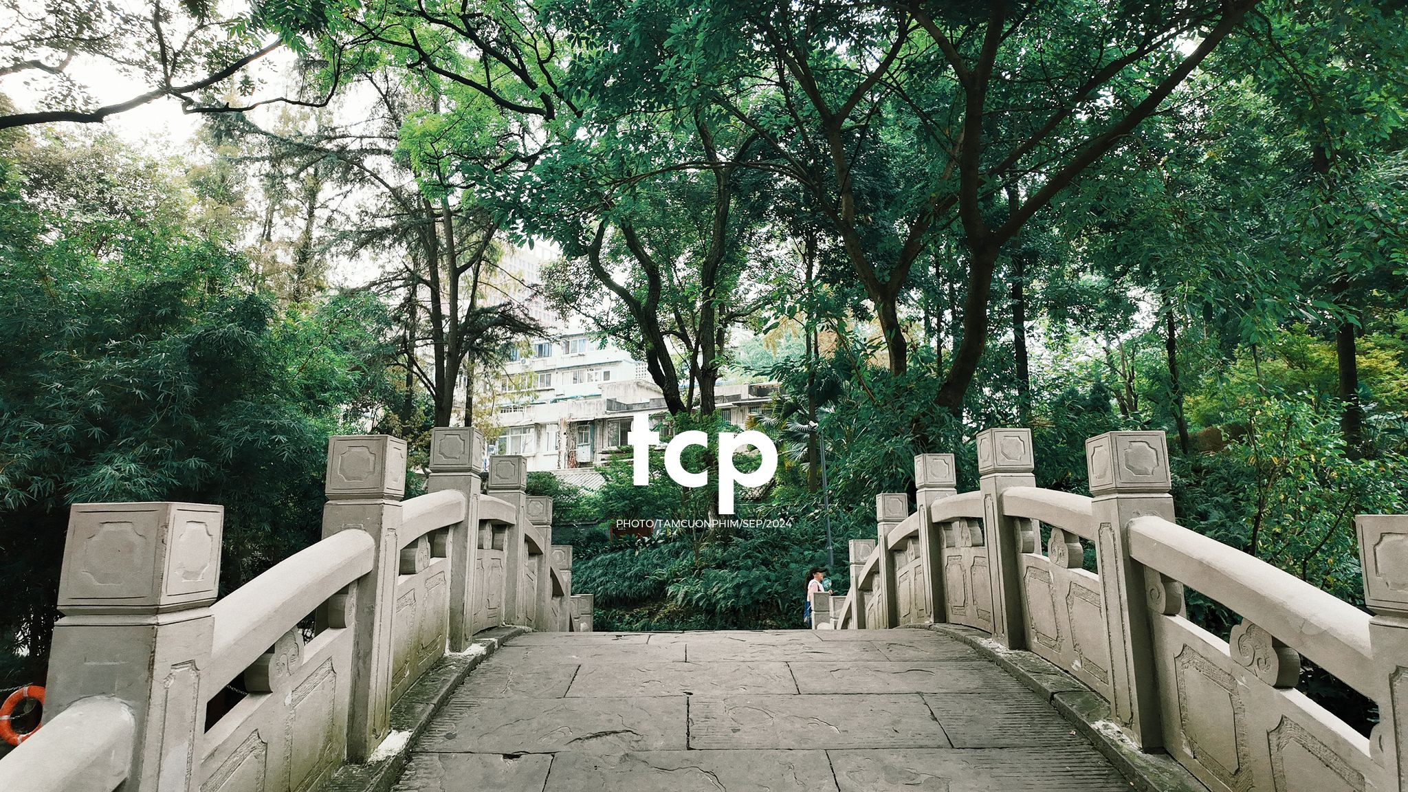 Tám Cuộn Phim - Những nhịp sống nhẹ nhàng nơi xứ sở gấu trúc