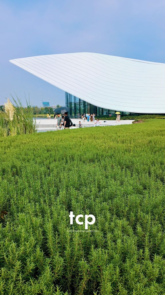 Tám Cuộn Phim - Những nhịp sống nhẹ nhàng nơi xứ sở gấu trúc