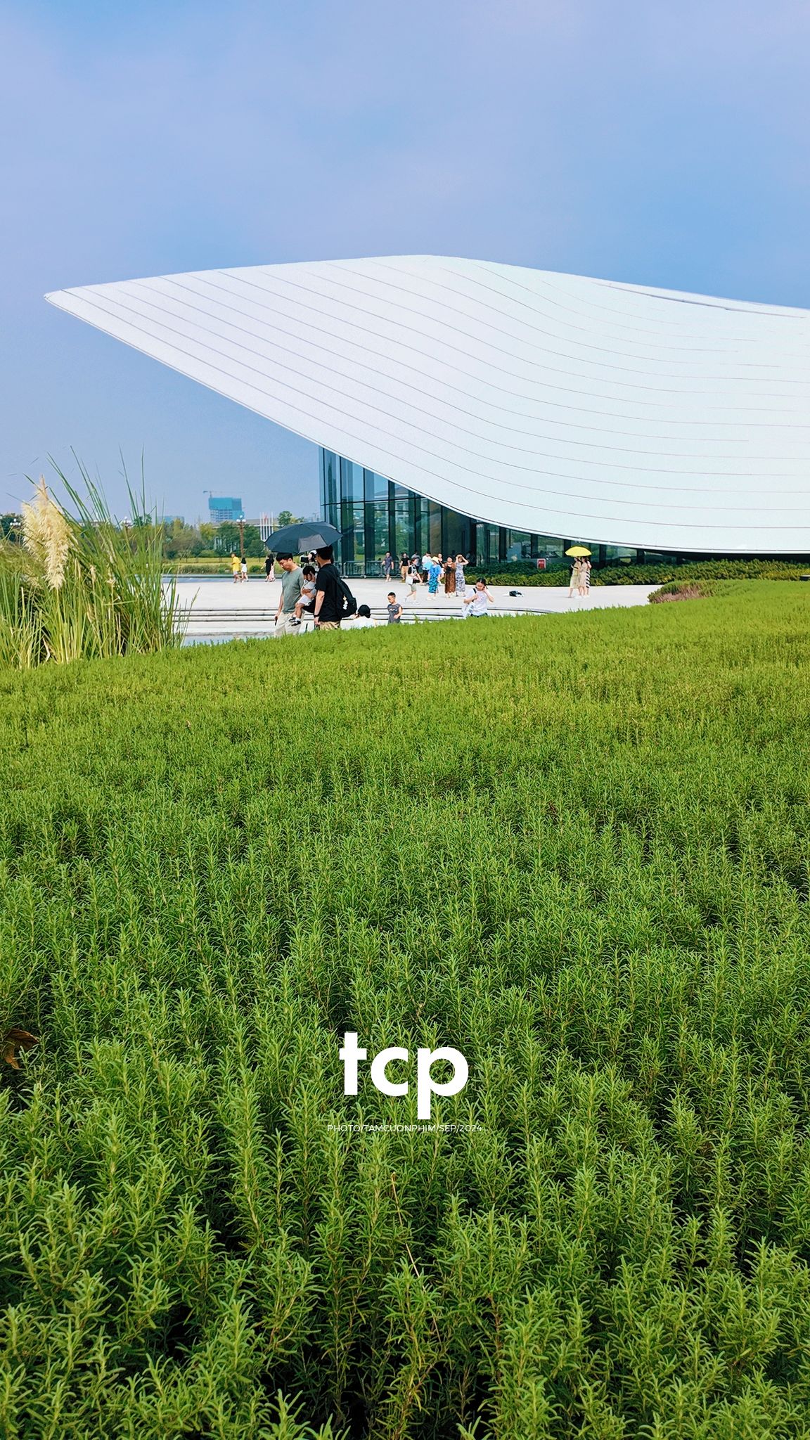 Tám Cuộn Phim - Những nhịp sống nhẹ nhàng nơi xứ sở gấu trúc