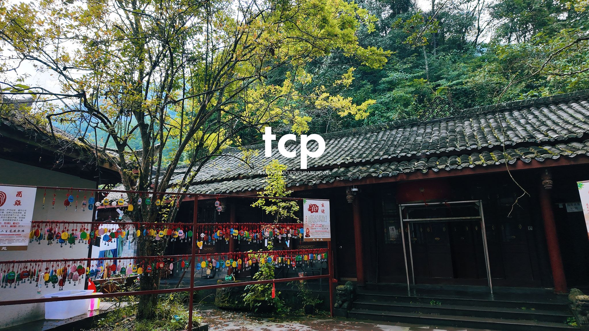 Tám Cuộn Phim - Những nhịp sống nhẹ nhàng nơi xứ sở gấu trúc