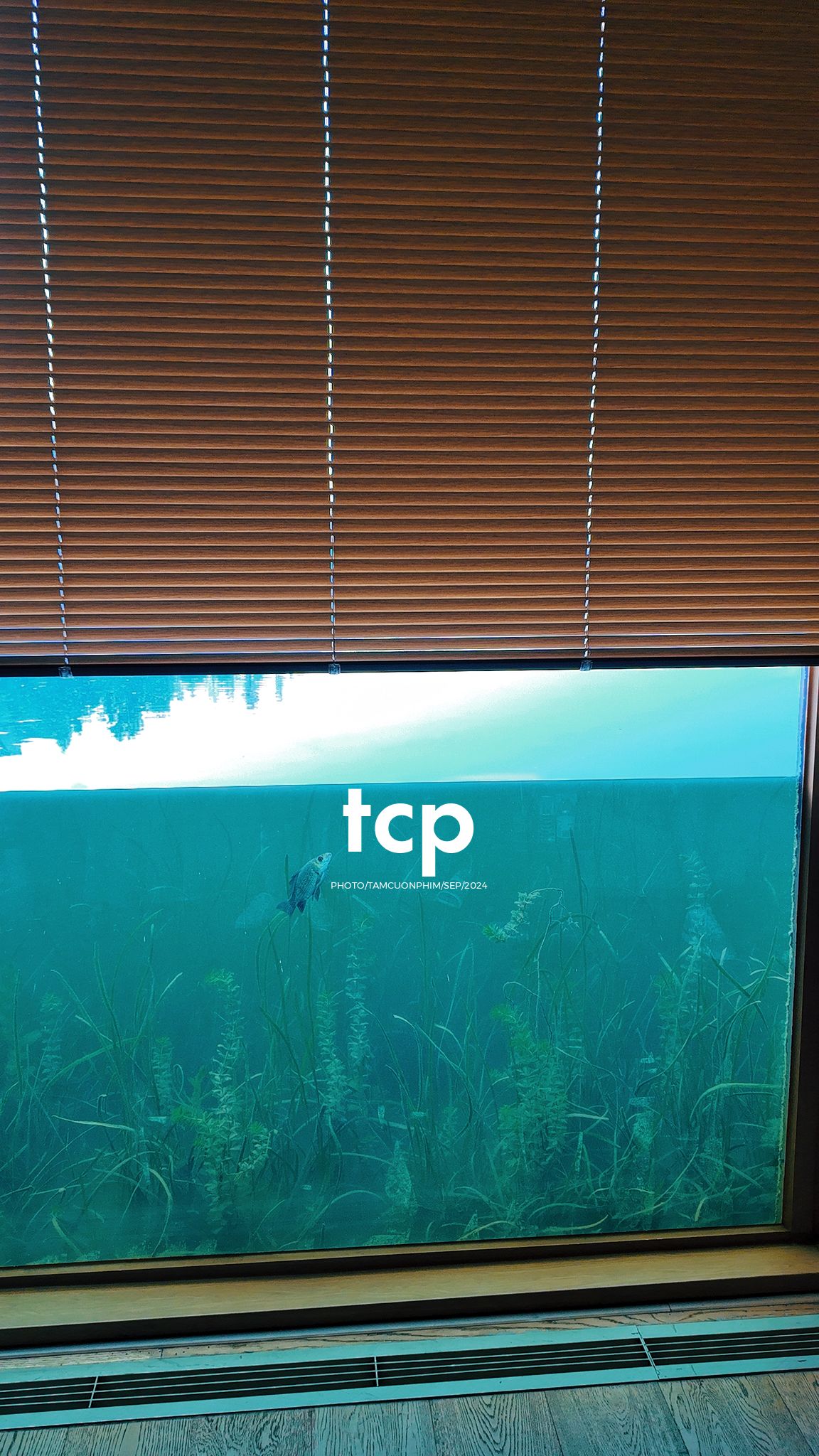 Tám Cuộn Phim - Những nhịp sống nhẹ nhàng nơi xứ sở gấu trúc