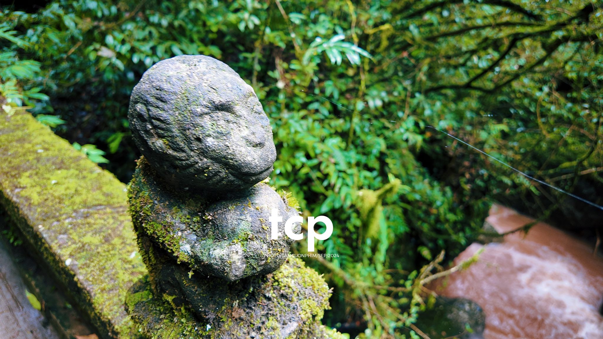 Tám Cuộn Phim - Những nhịp sống nhẹ nhàng nơi xứ sở gấu trúc