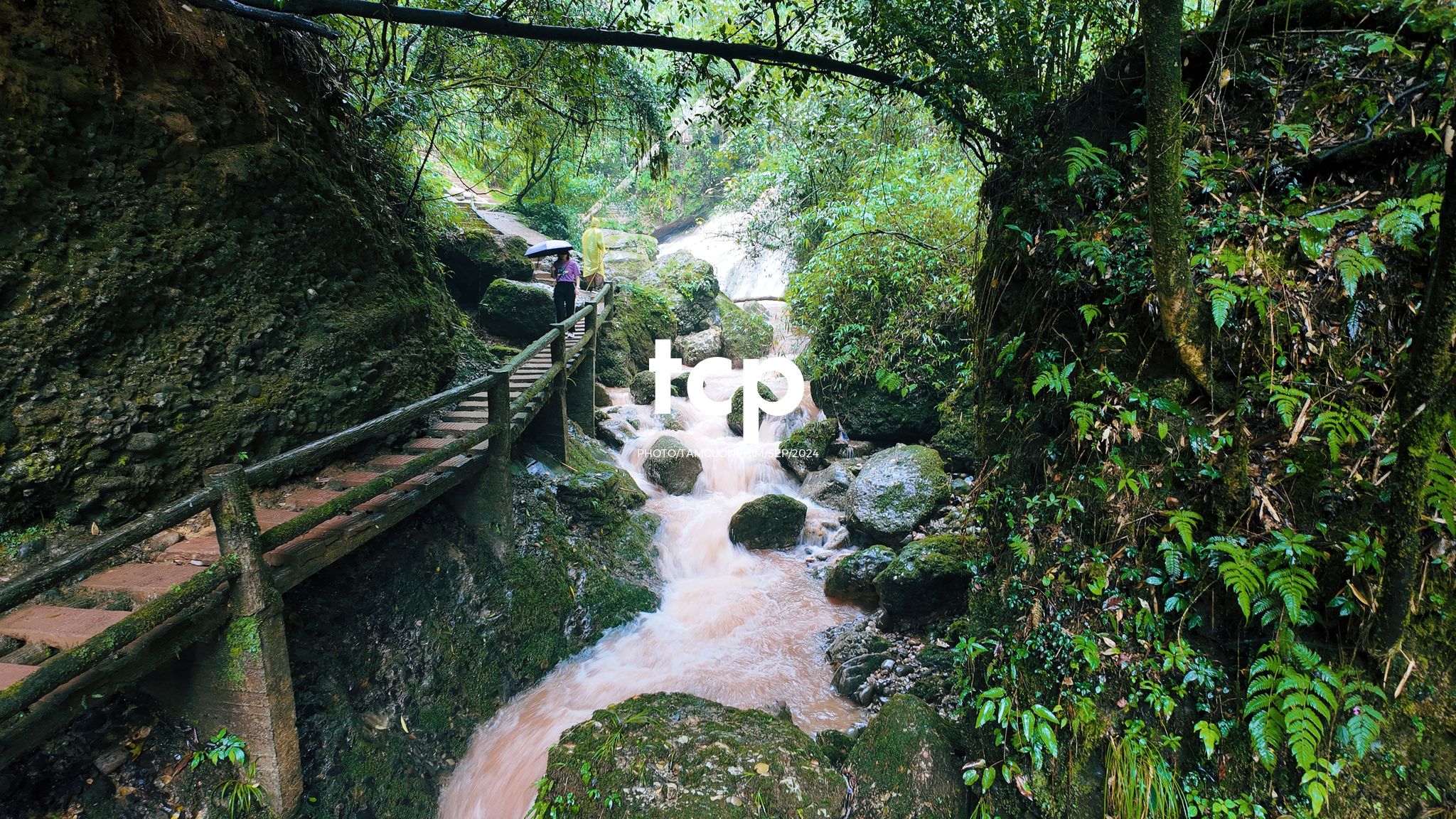 Tám Cuộn Phim - Những nhịp sống nhẹ nhàng nơi xứ sở gấu trúc