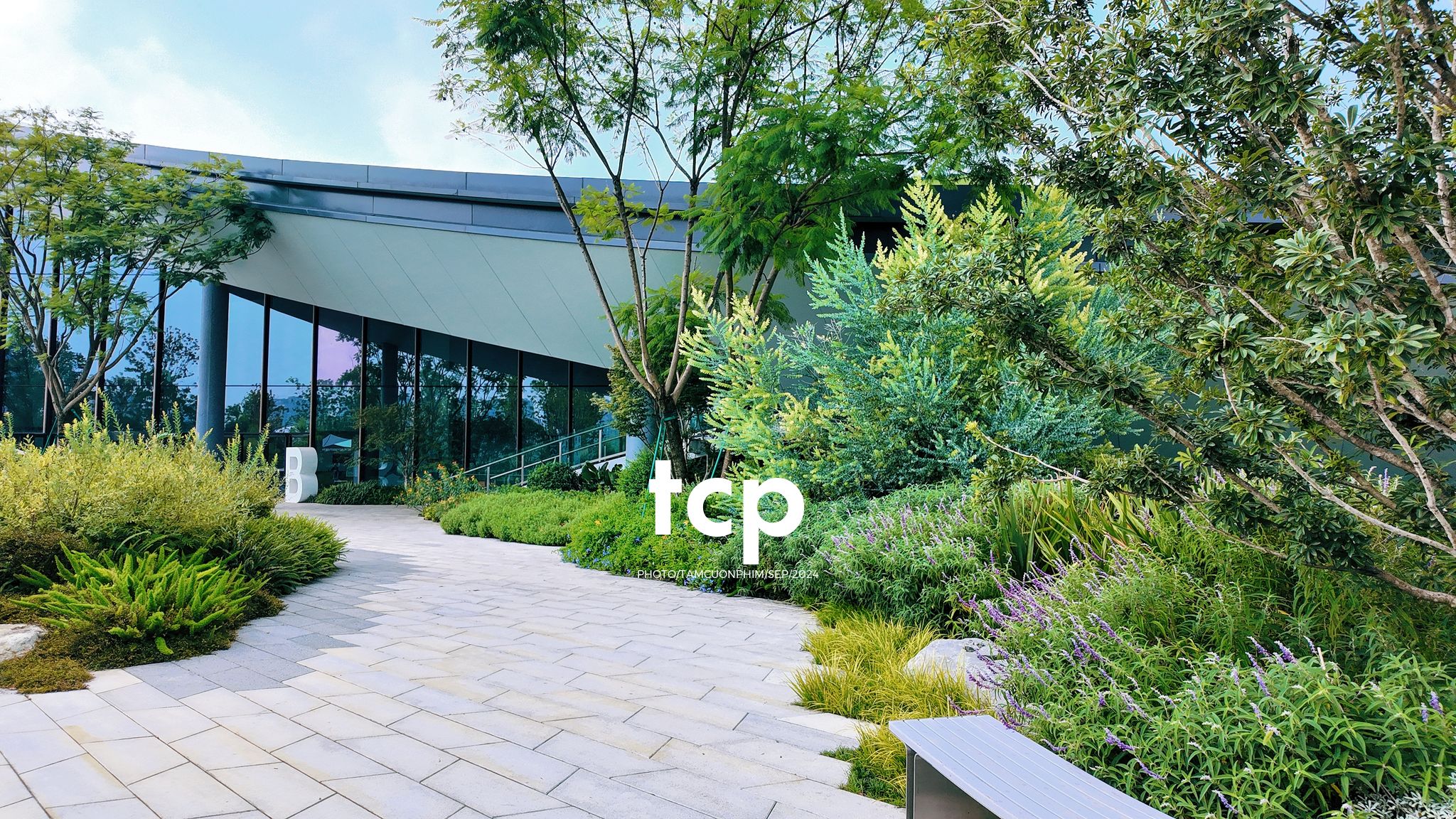 Tám Cuộn Phim - Những nhịp sống nhẹ nhàng nơi xứ sở gấu trúc