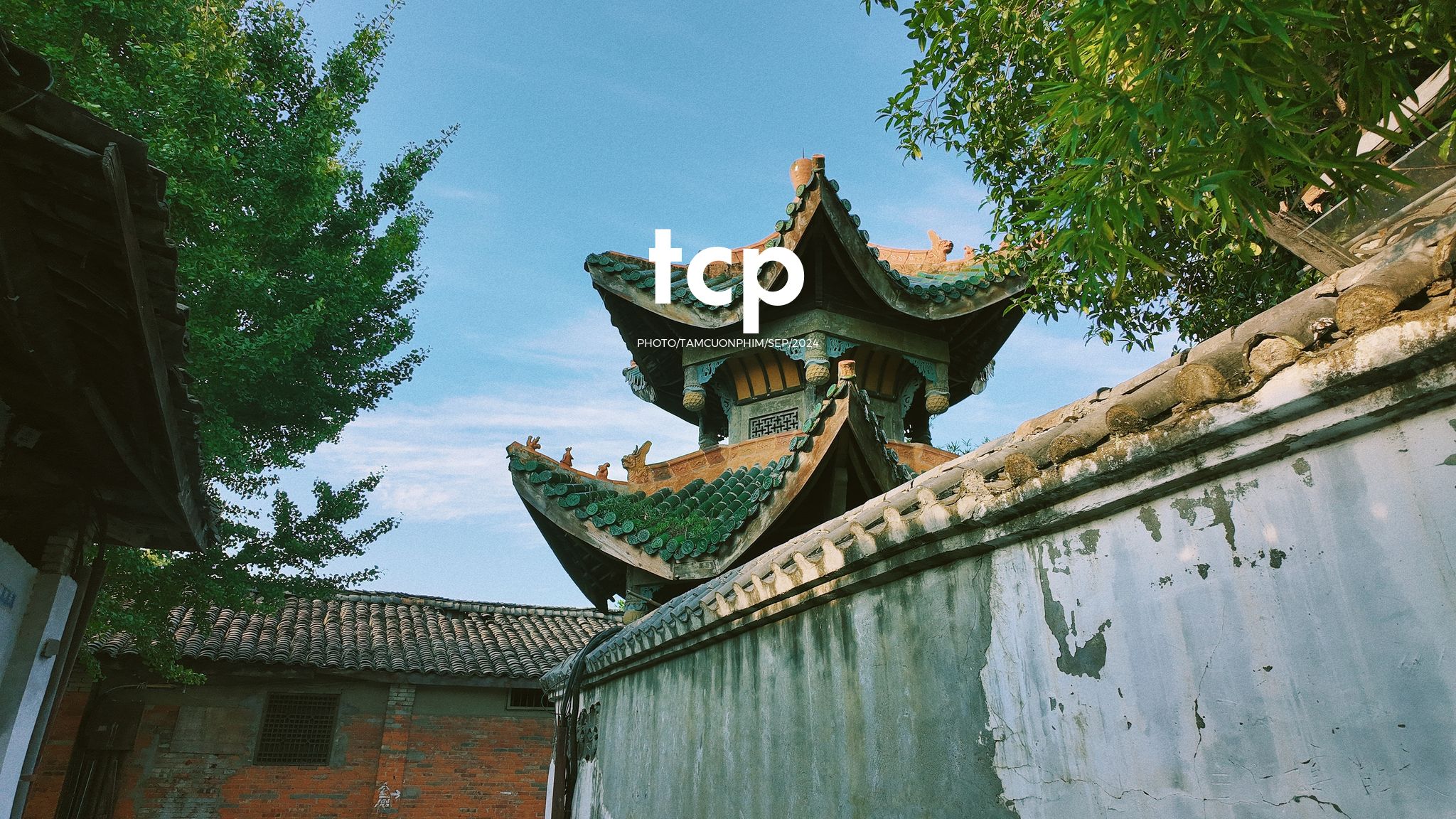 Tám Cuộn Phim - Nắng vàng trên mái ngói rêu phong