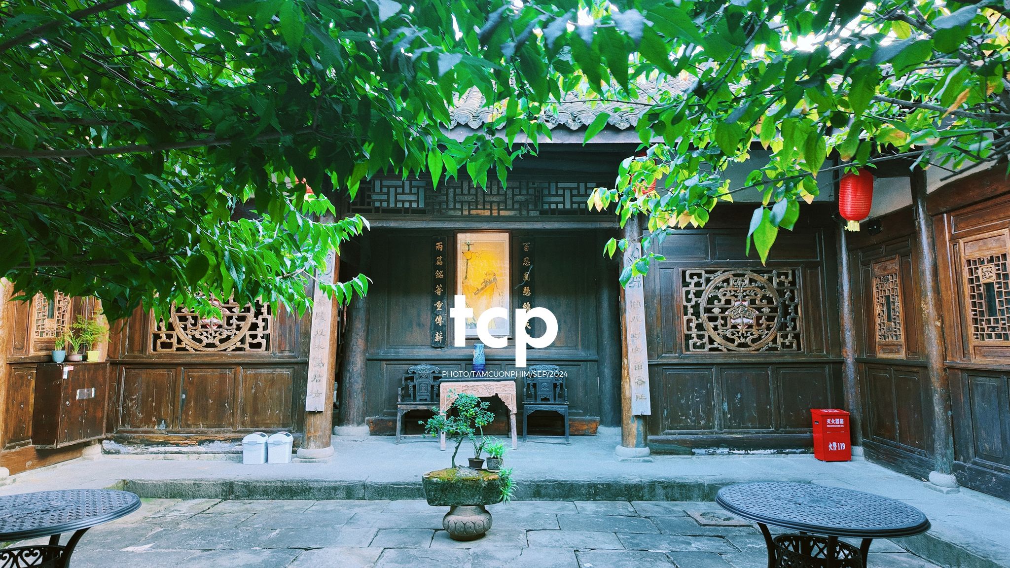 Tám Cuộn Phim - Nắng vàng trên mái ngói rêu phong