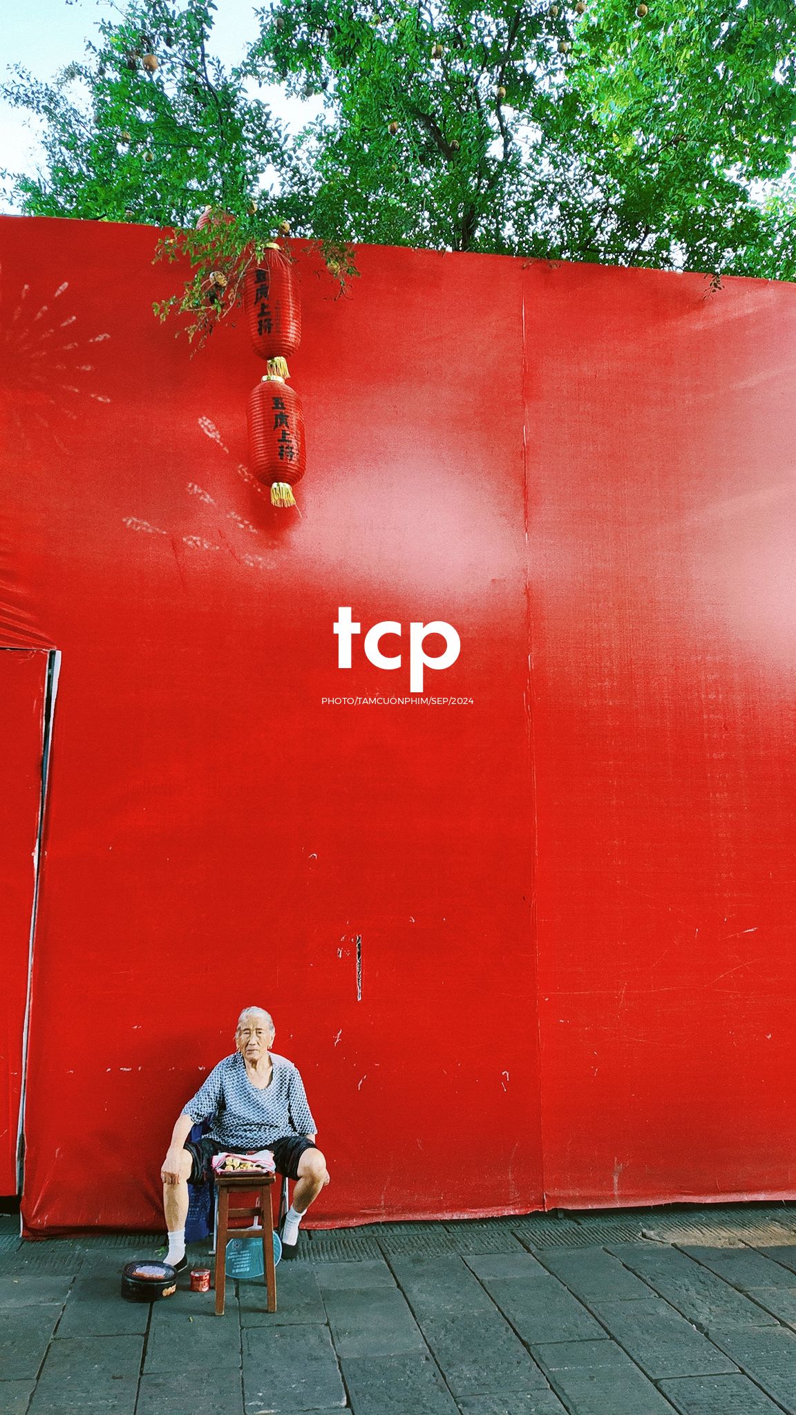 Tám Cuộn Phim - Nắng vàng trên mái ngói rêu phong