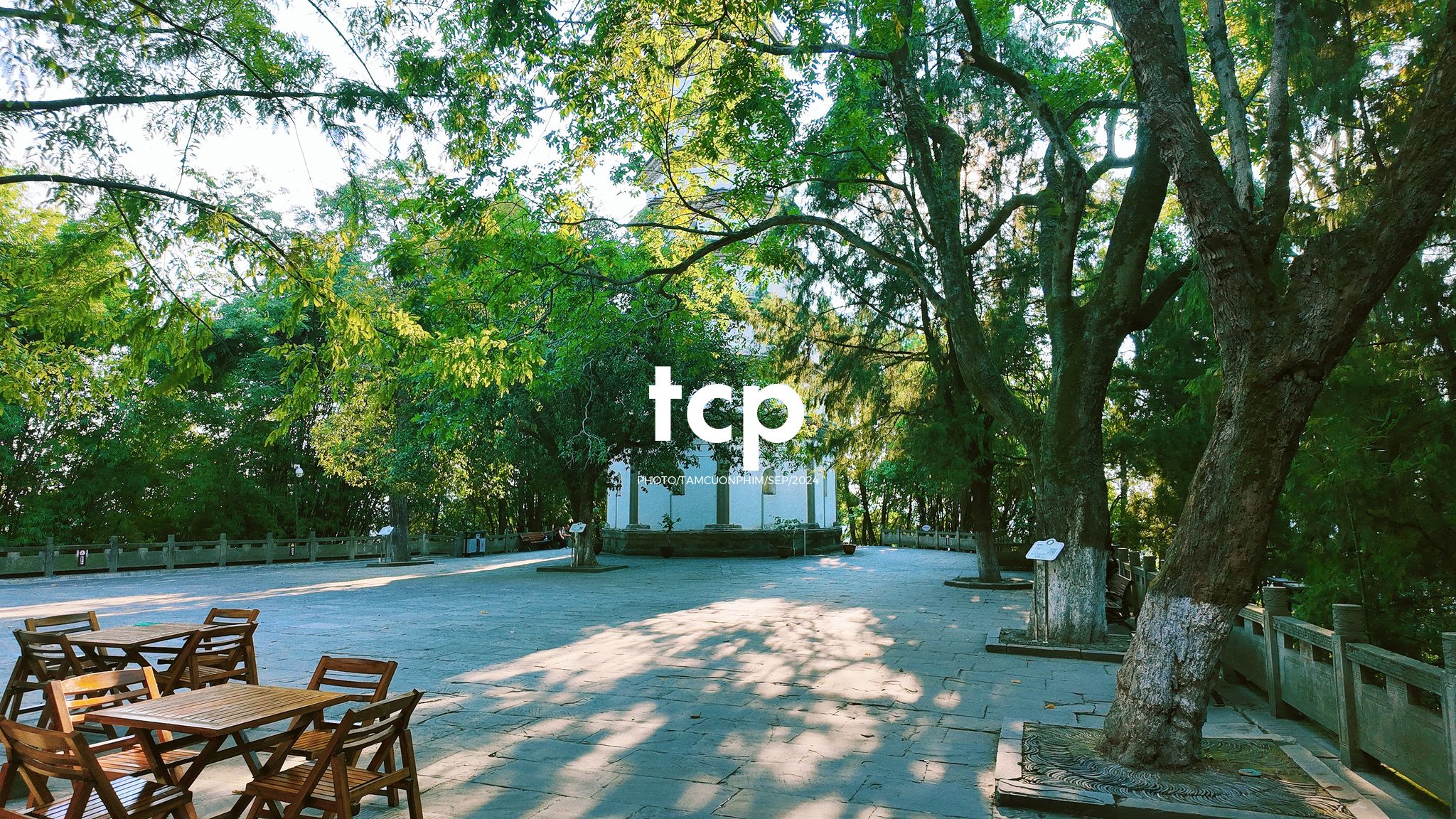 Tám Cuộn Phim - Nắng vàng trên mái ngói rêu phong