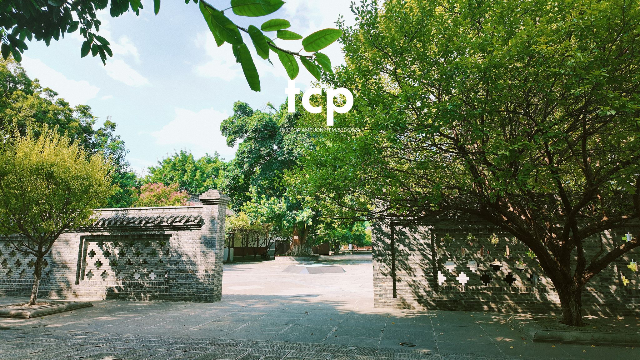 Tám Cuộn Phim - Nắng vàng trên mái ngói rêu phong