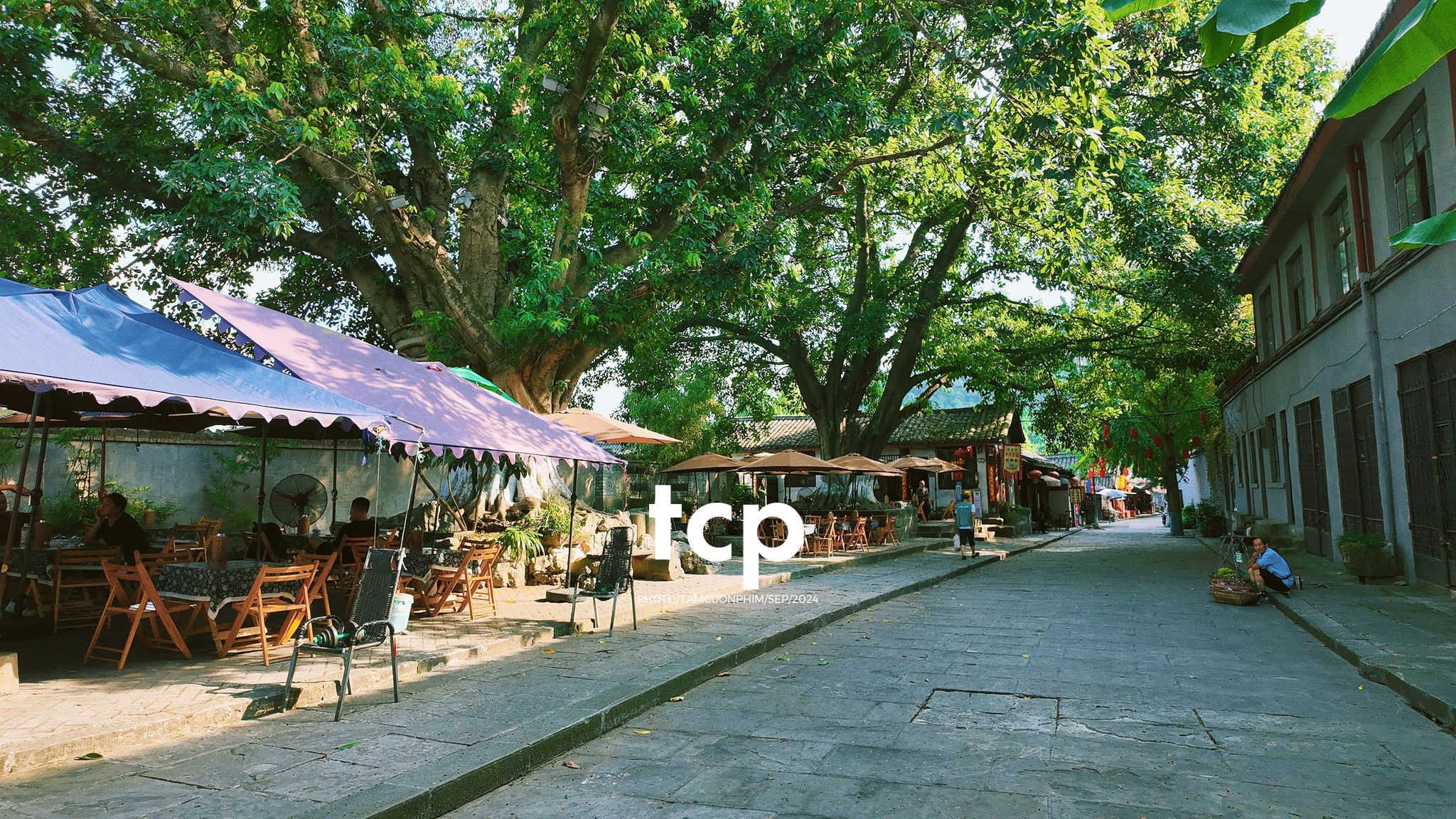 Tám Cuộn Phim - Nắng vàng trên mái ngói rêu phong