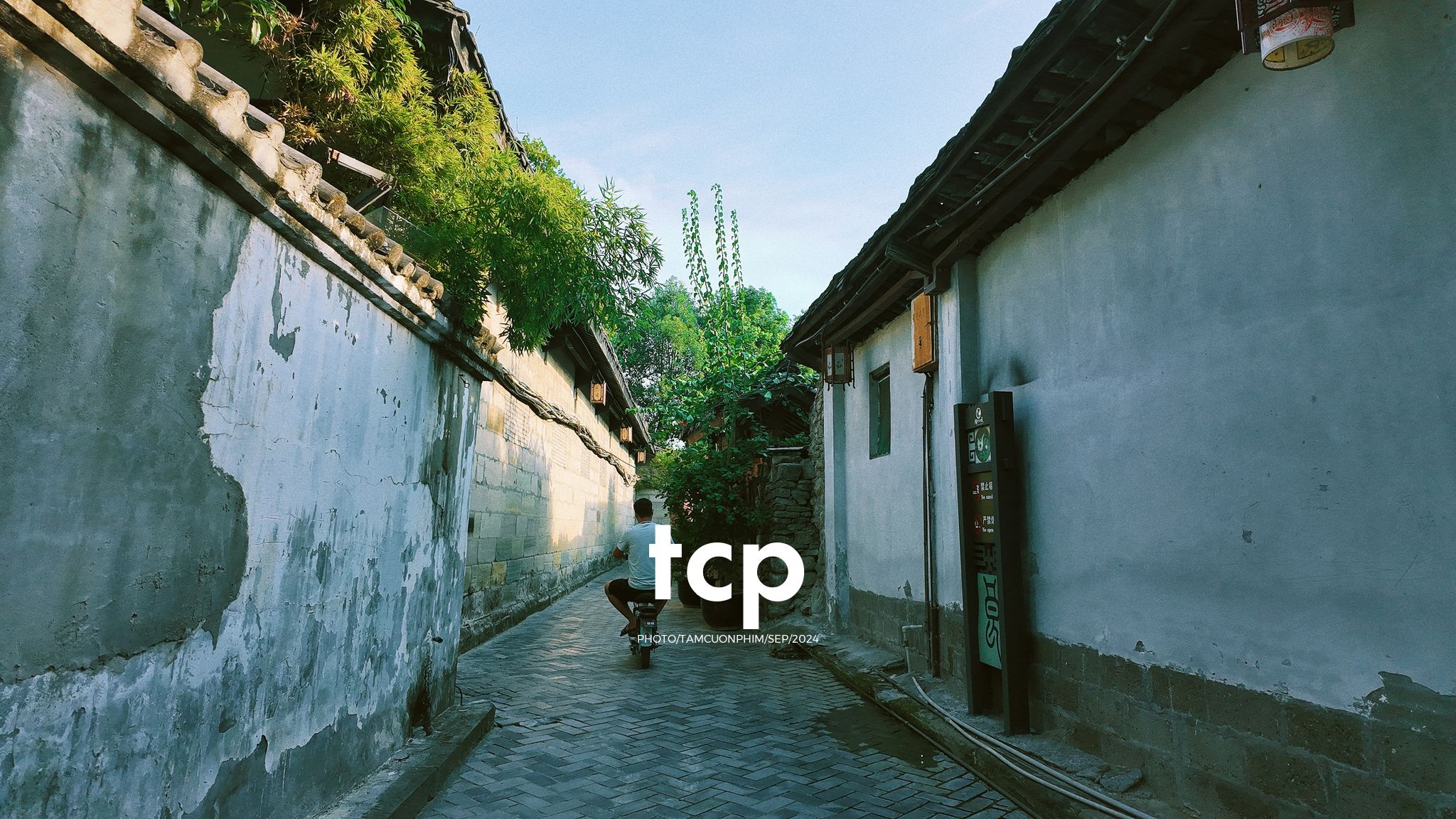 Tám Cuộn Phim - Nắng vàng trên mái ngói rêu phong