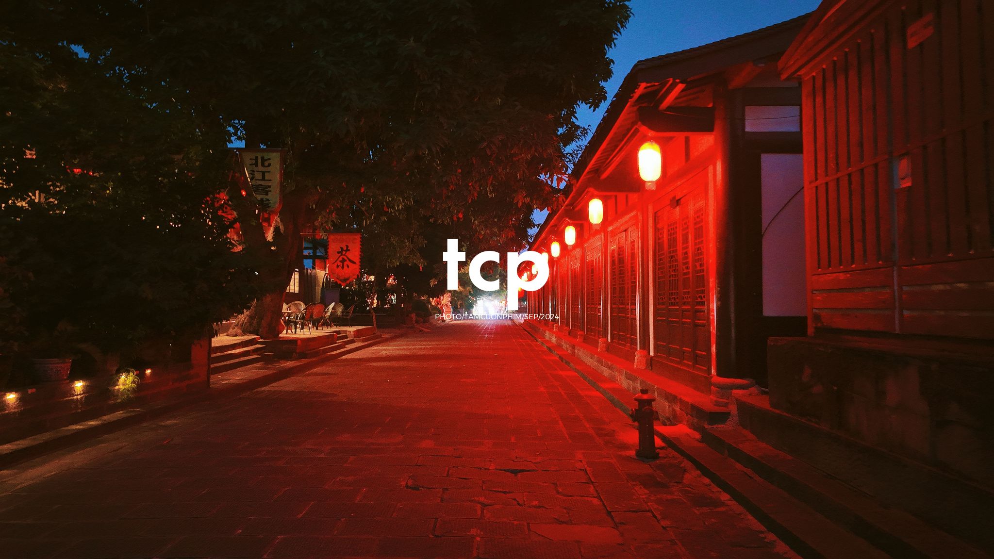 Tám Cuộn Phim - Nắng vàng trên mái ngói rêu phong