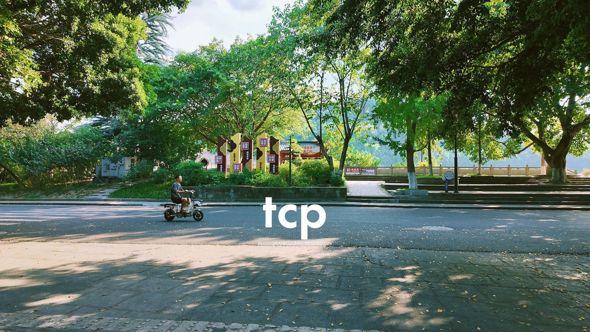 Tám Cuộn Phim - Nắng vàng trên mái ngói rêu phong