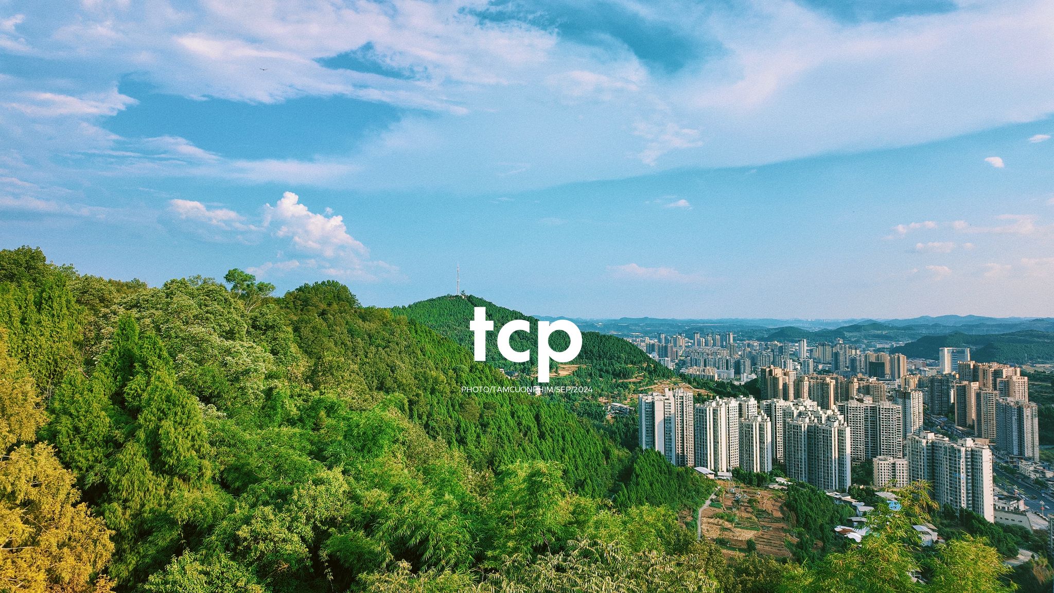 Tám Cuộn Phim - Nắng vàng trên mái ngói rêu phong