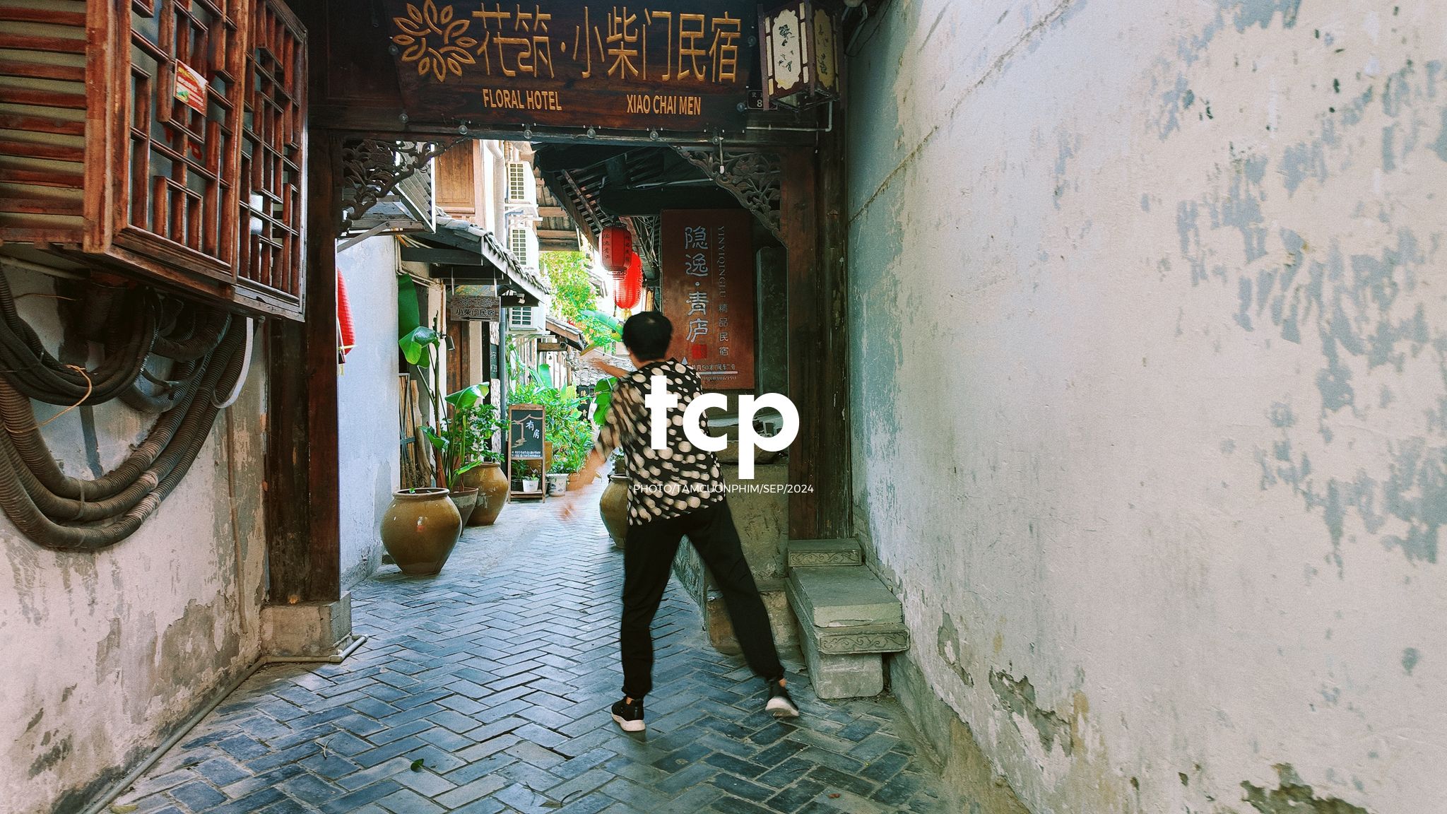 Tám Cuộn Phim - Nắng vàng trên mái ngói rêu phong