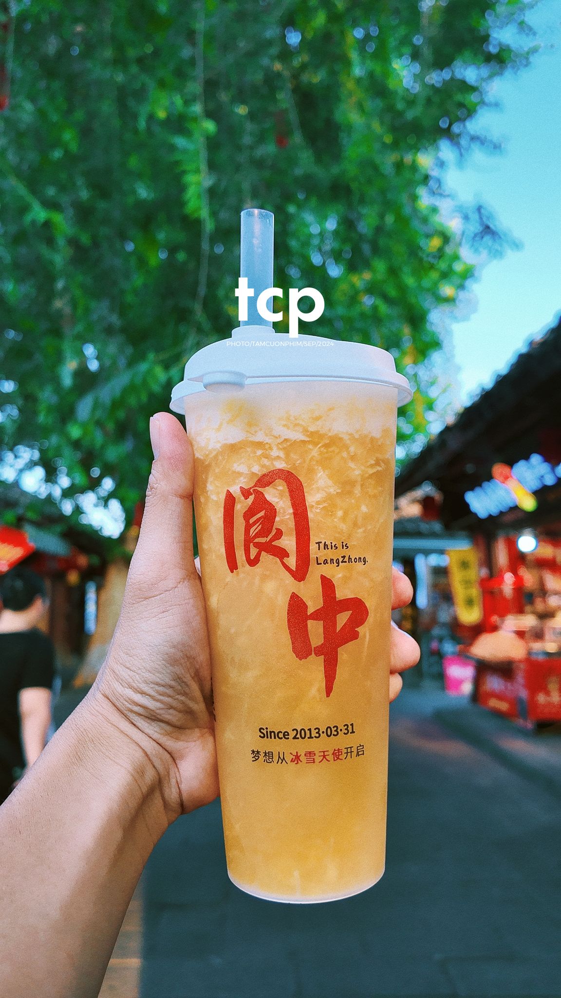 Tám Cuộn Phim - Nắng vàng trên mái ngói rêu phong