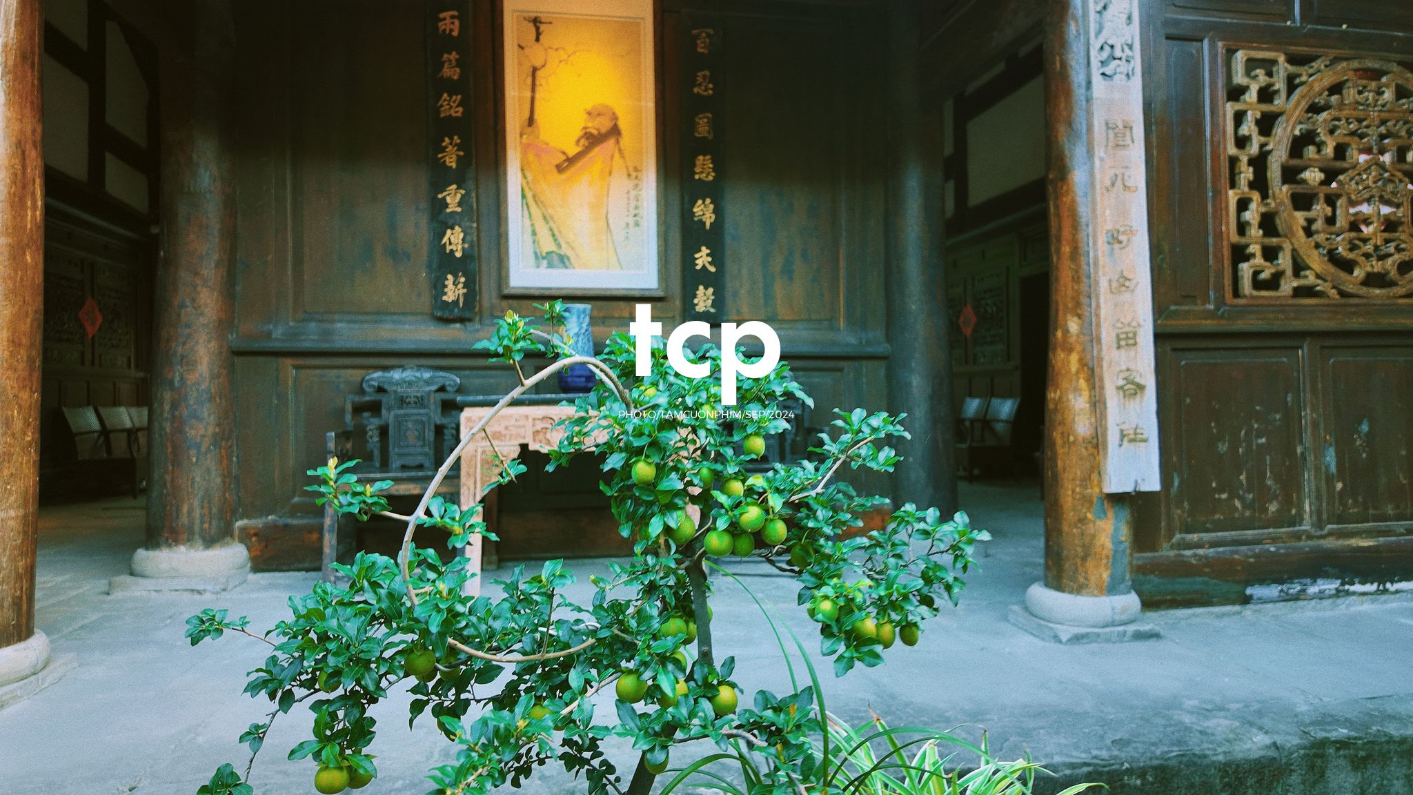 Tám Cuộn Phim - Nắng vàng trên mái ngói rêu phong