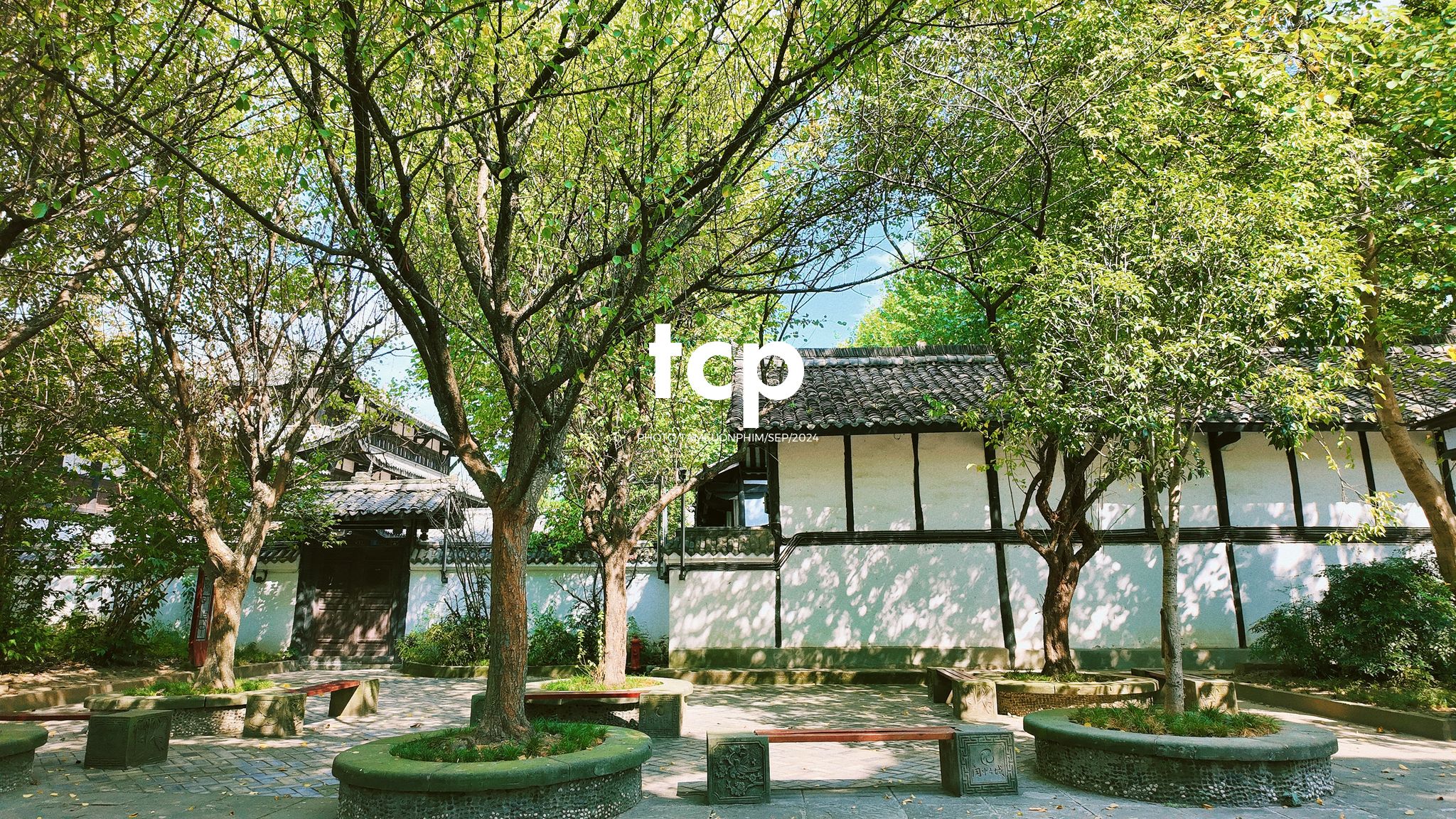 Tám Cuộn Phim - Nắng vàng trên mái ngói rêu phong