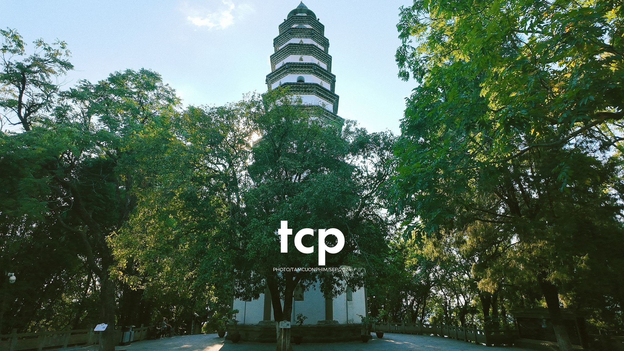 Tám Cuộn Phim - Nắng vàng trên mái ngói rêu phong