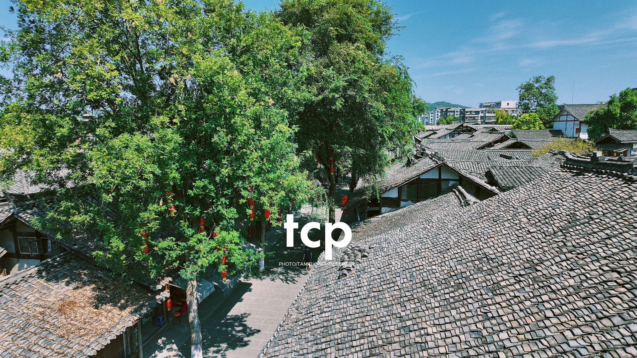 Tám Cuộn Phim - Nắng vàng trên mái ngói rêu phong