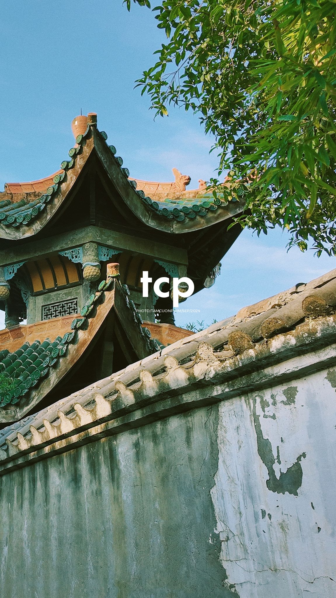 Tám Cuộn Phim - Nắng vàng trên mái ngói rêu phong