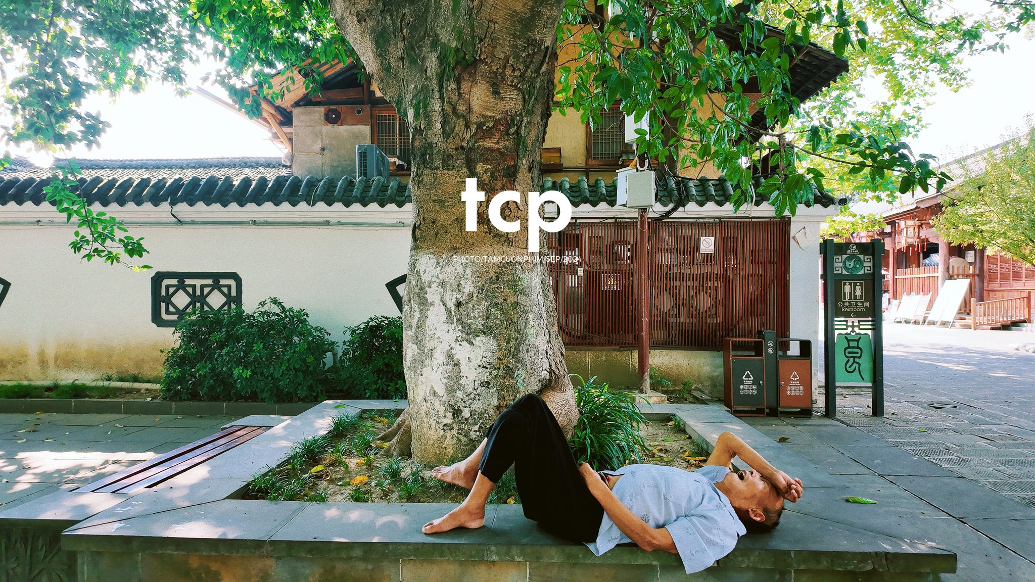 Tám Cuộn Phim - Nắng vàng trên mái ngói rêu phong