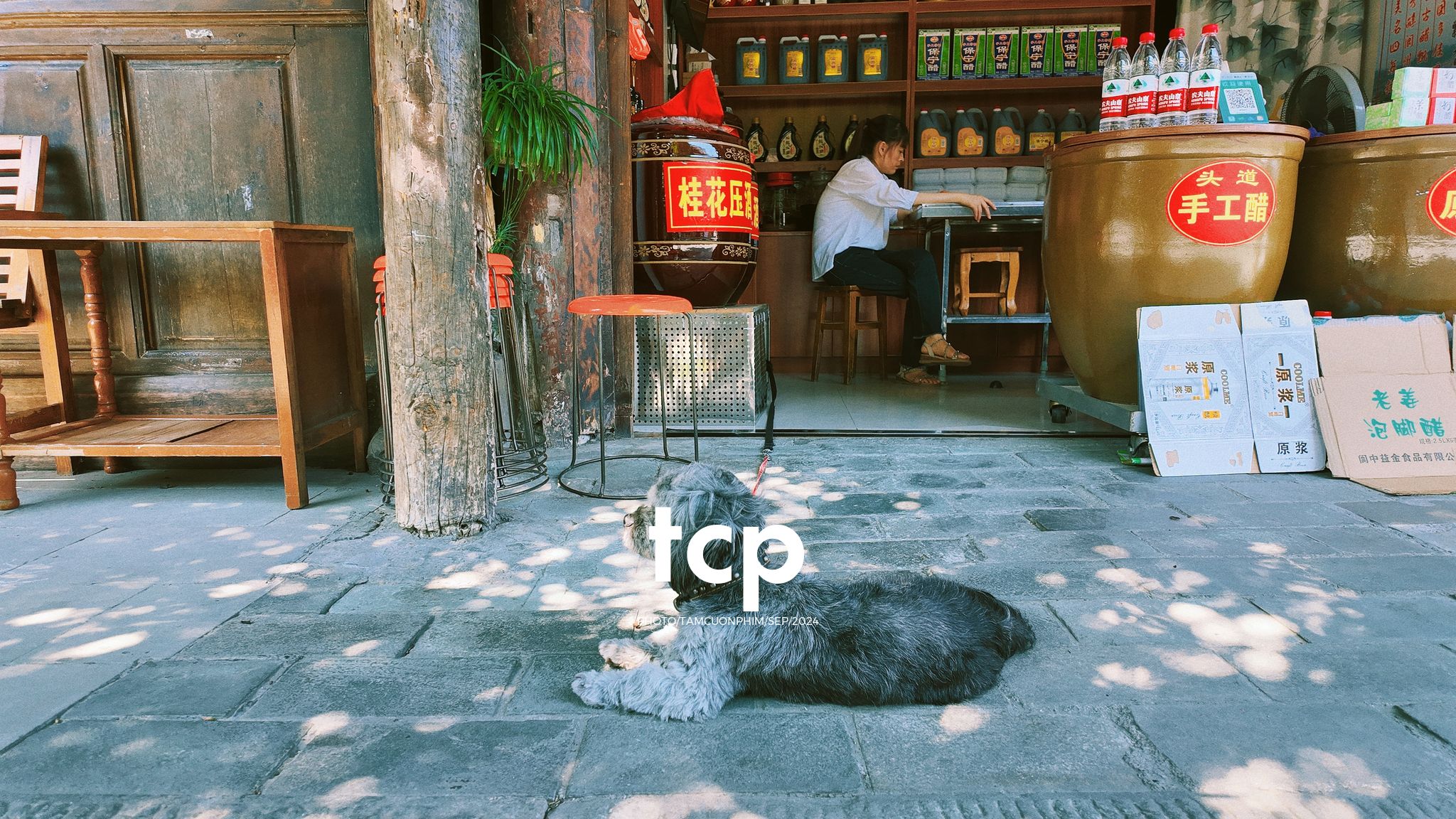 Tám Cuộn Phim - Nắng vàng trên mái ngói rêu phong