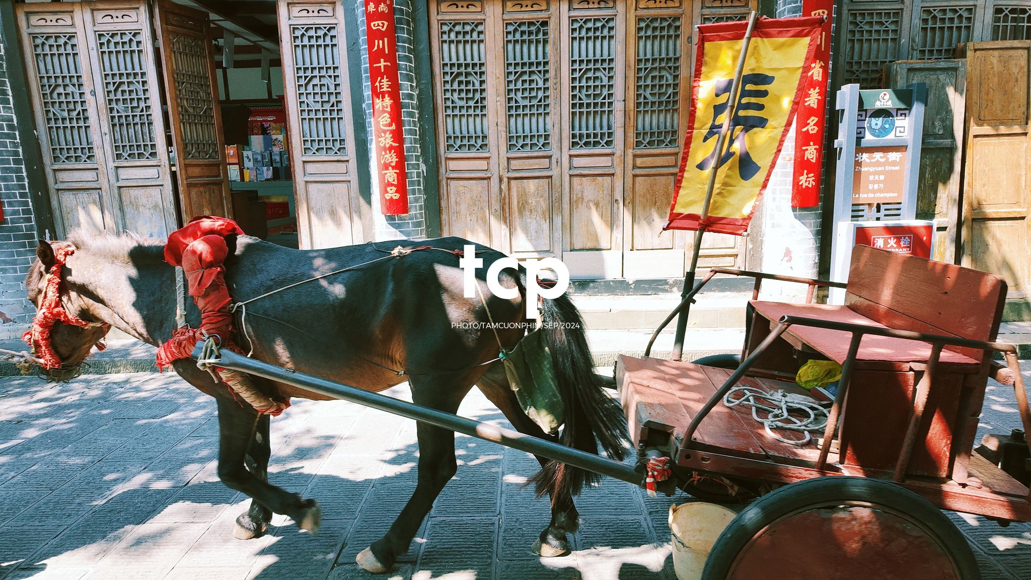 Tám Cuộn Phim - Nắng vàng trên mái ngói rêu phong