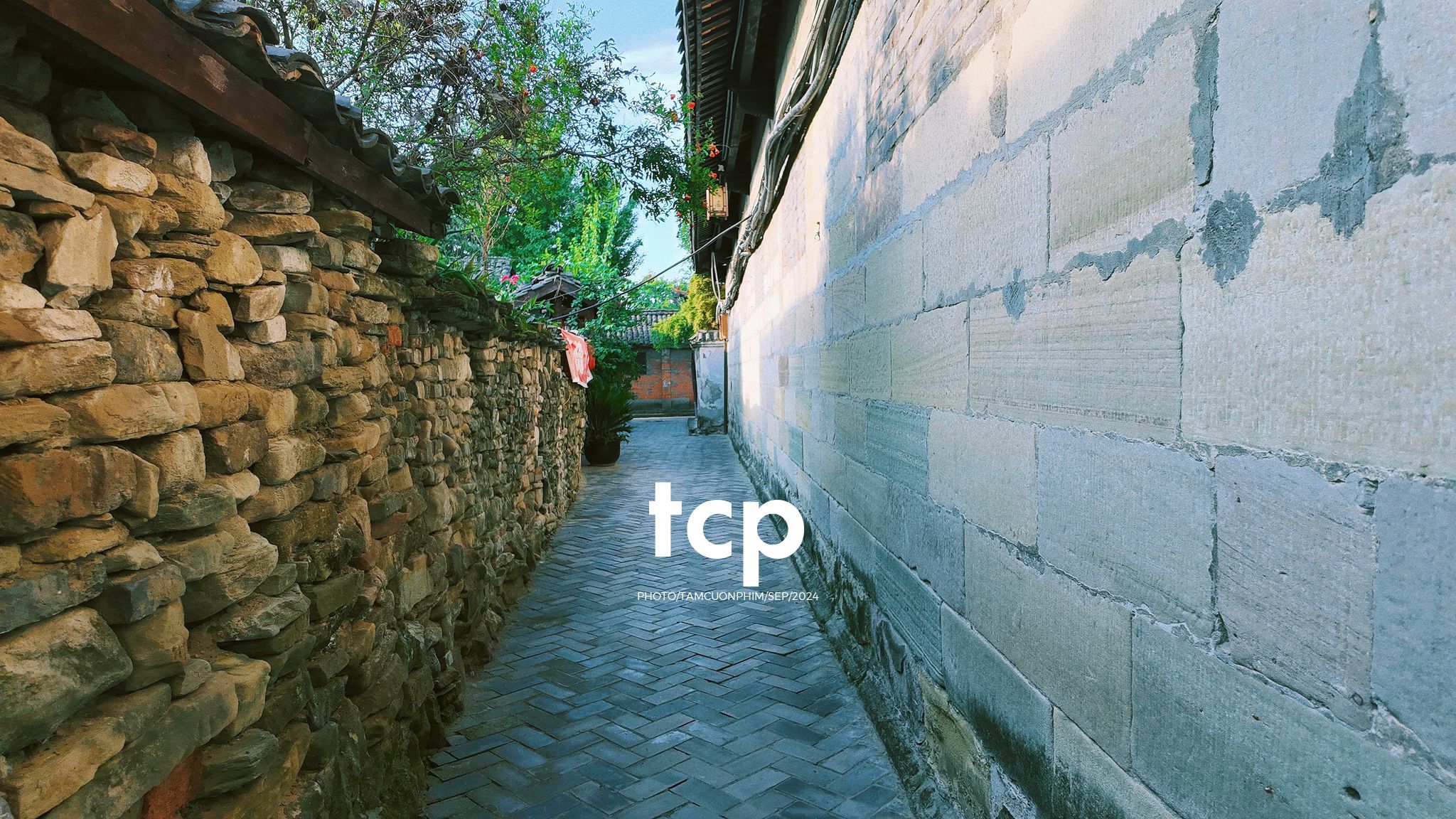 Tám Cuộn Phim - Nắng vàng trên mái ngói rêu phong