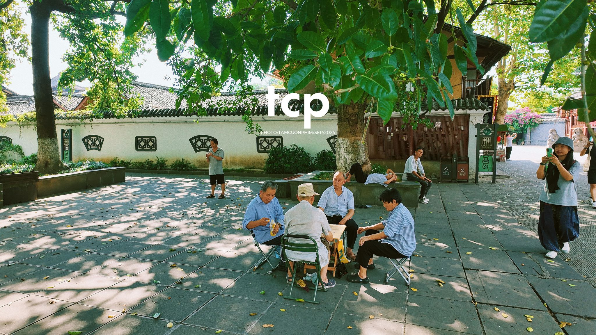 Tám Cuộn Phim - Nắng vàng trên mái ngói rêu phong