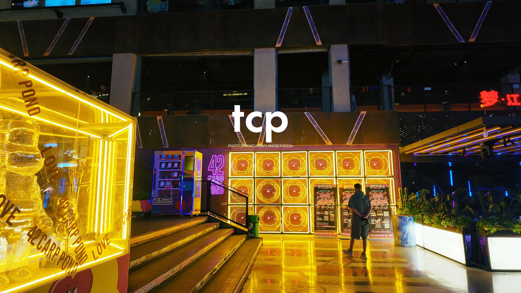 Tám Cuộn Phim - Ai mà chẳng mê mẩn những chuyến đi chơi đêm quên lối về chứ?