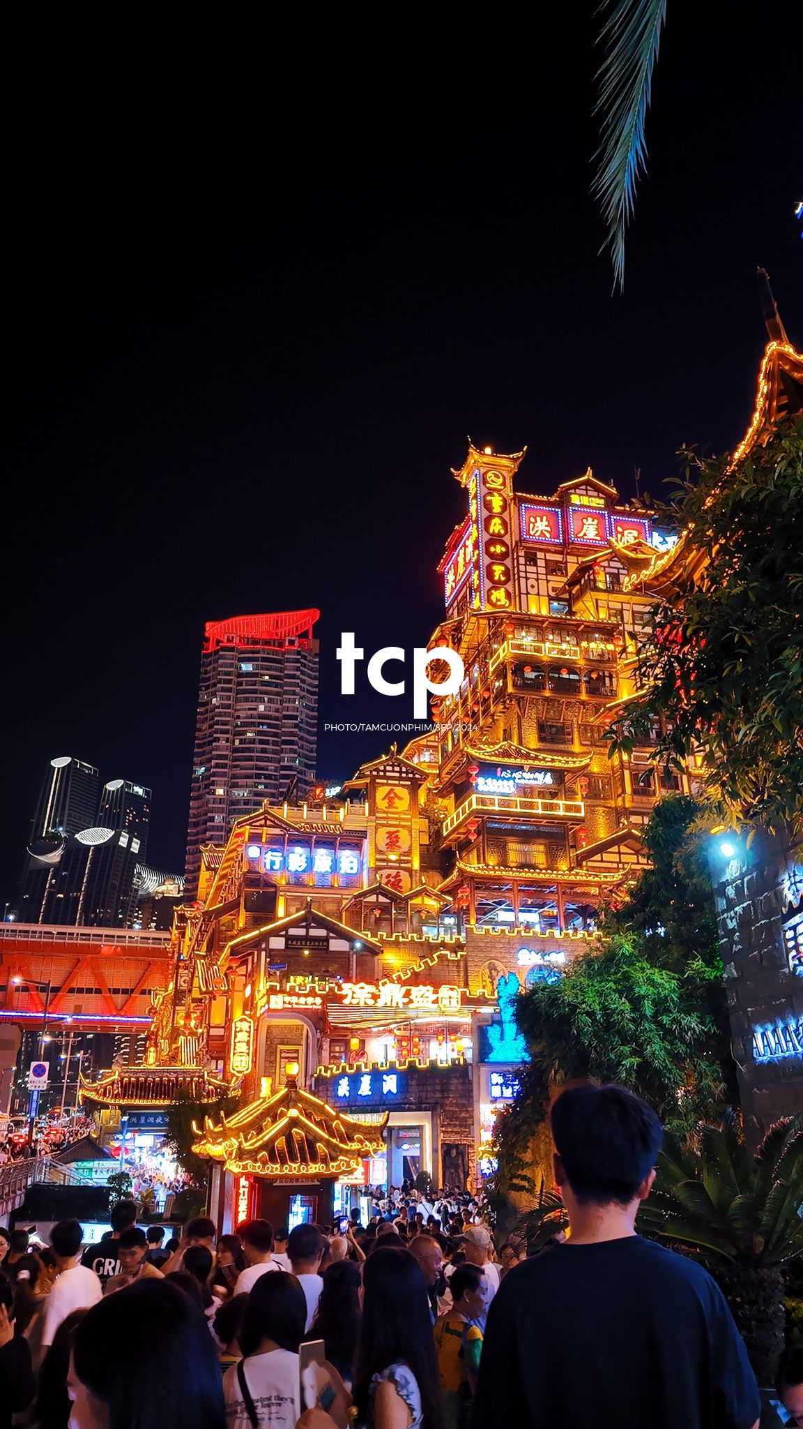 Tám Cuộn Phim - Ai mà chẳng mê mẩn những chuyến đi chơi đêm quên lối về chứ?