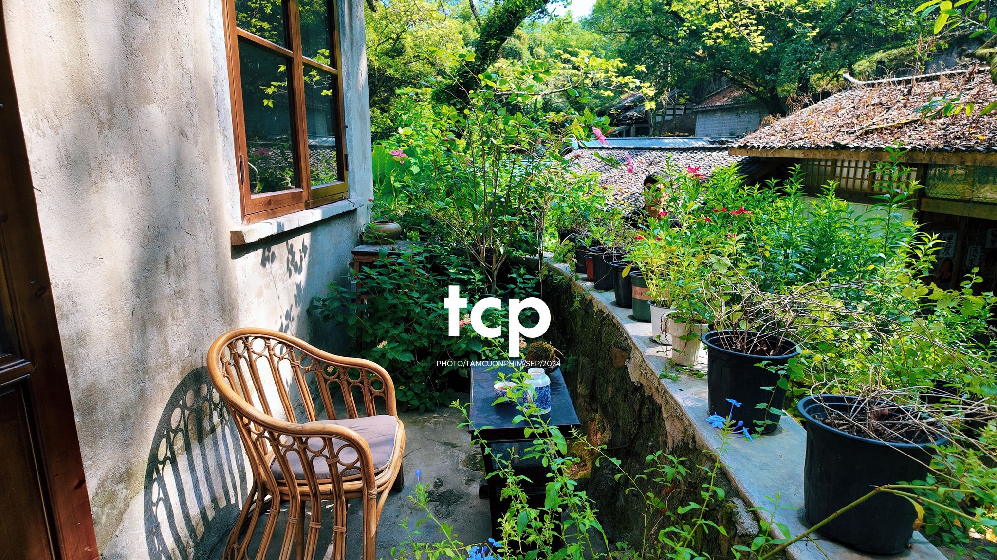 Tám Cuộn Phim - Có bao giờ bạn muốn bỏ lại phố thị để tìm một góc nhỏ bình yên như thế này chưa?