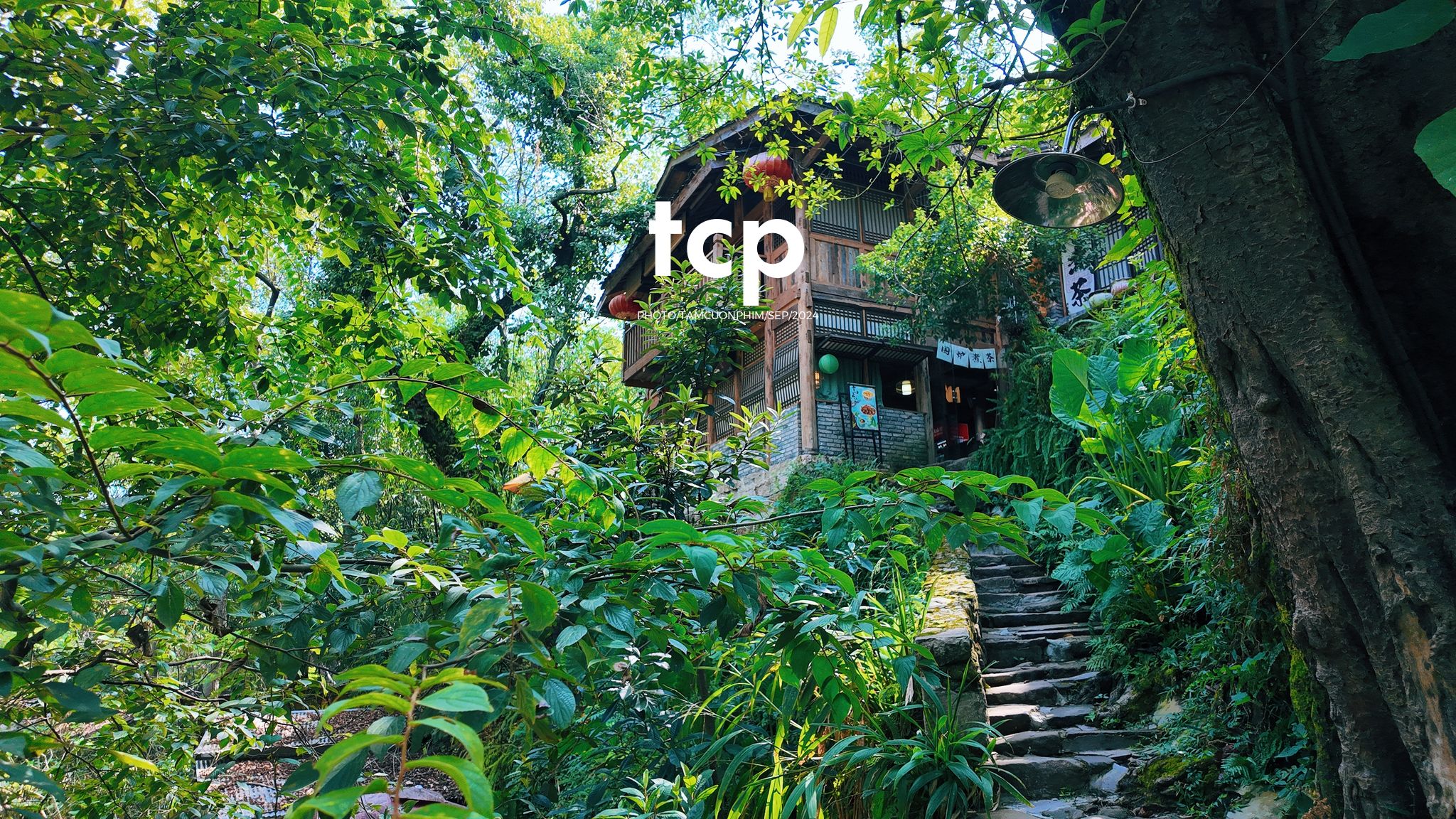 Tám Cuộn Phim - Có bao giờ bạn muốn bỏ lại phố thị để tìm một góc nhỏ bình yên như thế này chưa?