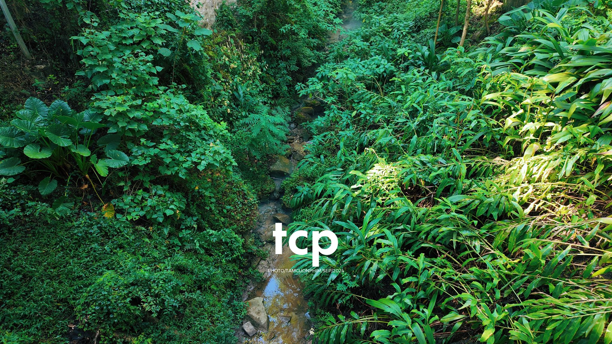 Tám Cuộn Phim - Có bao giờ bạn muốn bỏ lại phố thị để tìm một góc nhỏ bình yên như thế này chưa?