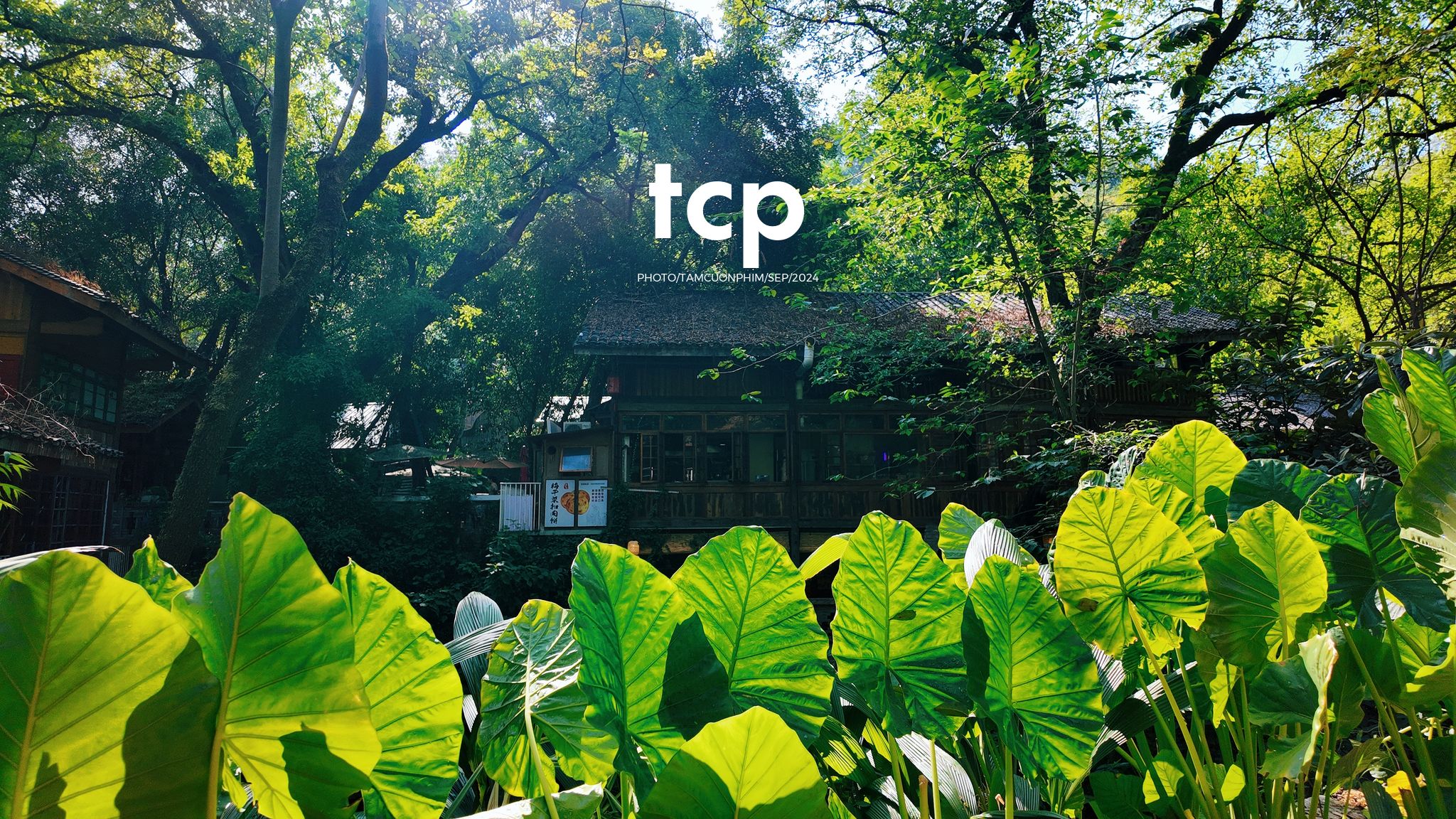 Tám Cuộn Phim - Có bao giờ bạn muốn bỏ lại phố thị để tìm một góc nhỏ bình yên như thế này chưa?