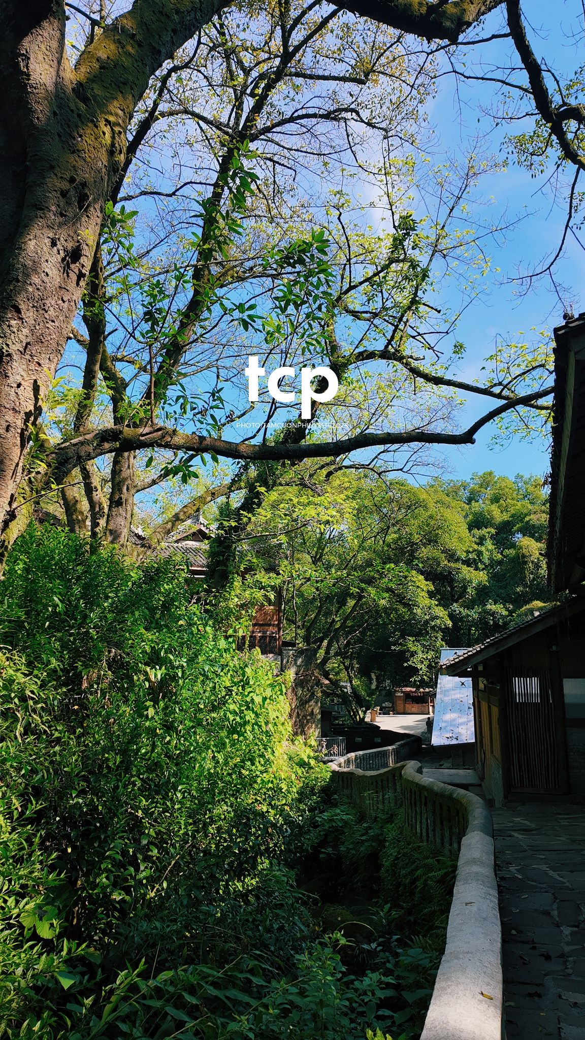 Tám Cuộn Phim - Có bao giờ bạn muốn bỏ lại phố thị để tìm một góc nhỏ bình yên như thế này chưa?