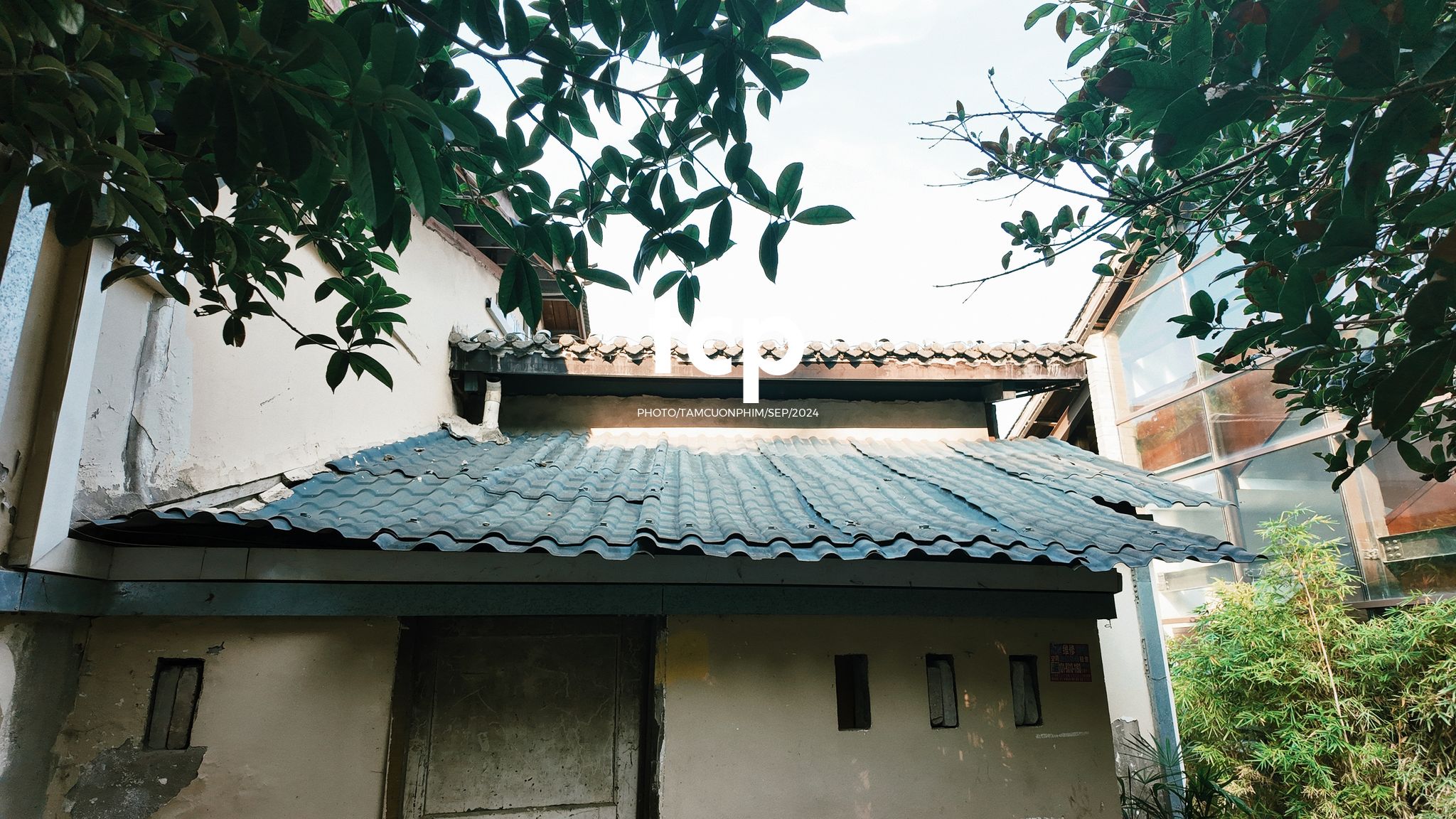 Tám Cuộn Phim - Có ai thấy nhớ những chuyến đi lang thang dọc phố phường không?