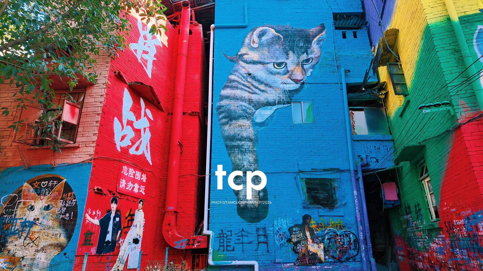 Tám Cuộn Phim - Có ai thấy nhớ những chuyến đi lang thang dọc phố phường không?