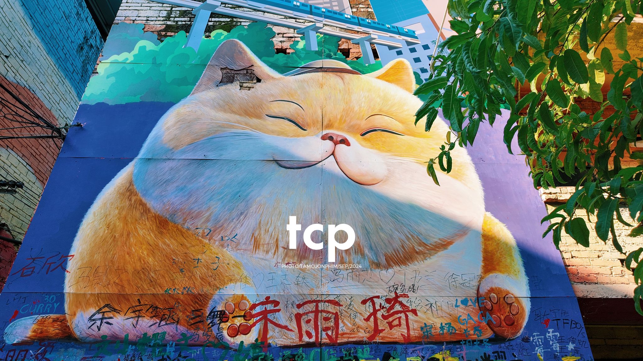 Tám Cuộn Phim - Có ai thấy nhớ những chuyến đi lang thang dọc phố phường không?