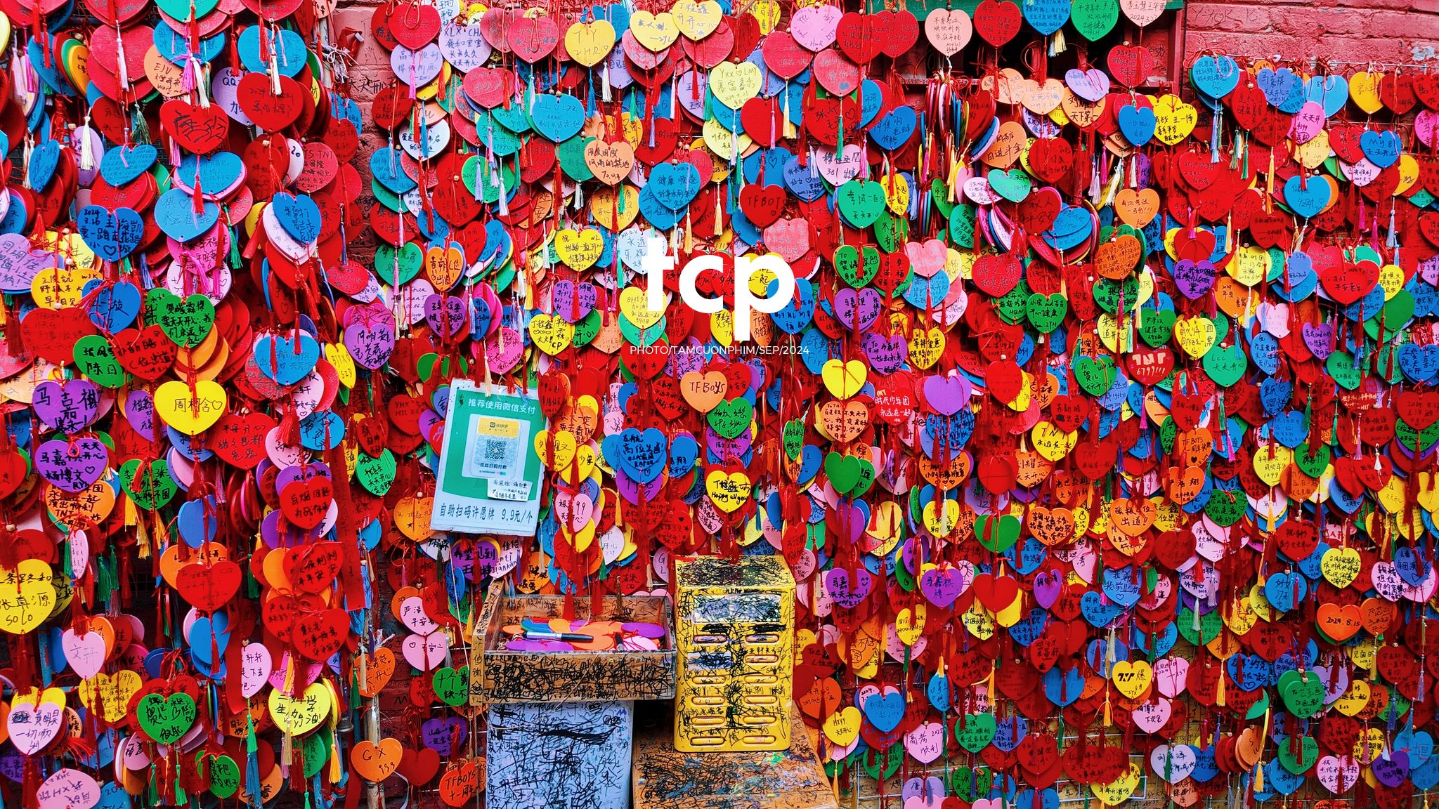 Tám Cuộn Phim - Có ai thấy nhớ những chuyến đi lang thang dọc phố phường không?