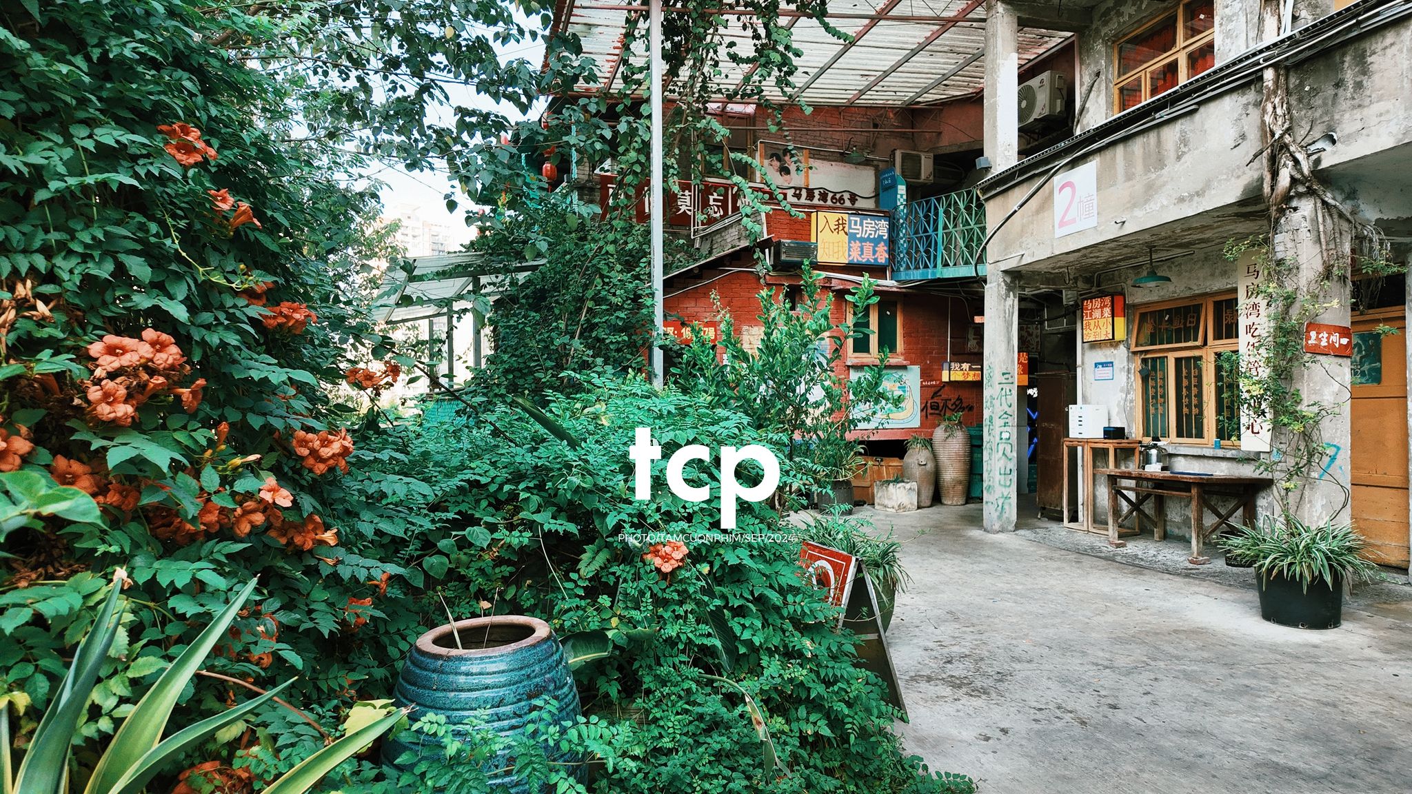 Tám Cuộn Phim - Có ai thấy nhớ những chuyến đi lang thang dọc phố phường không?