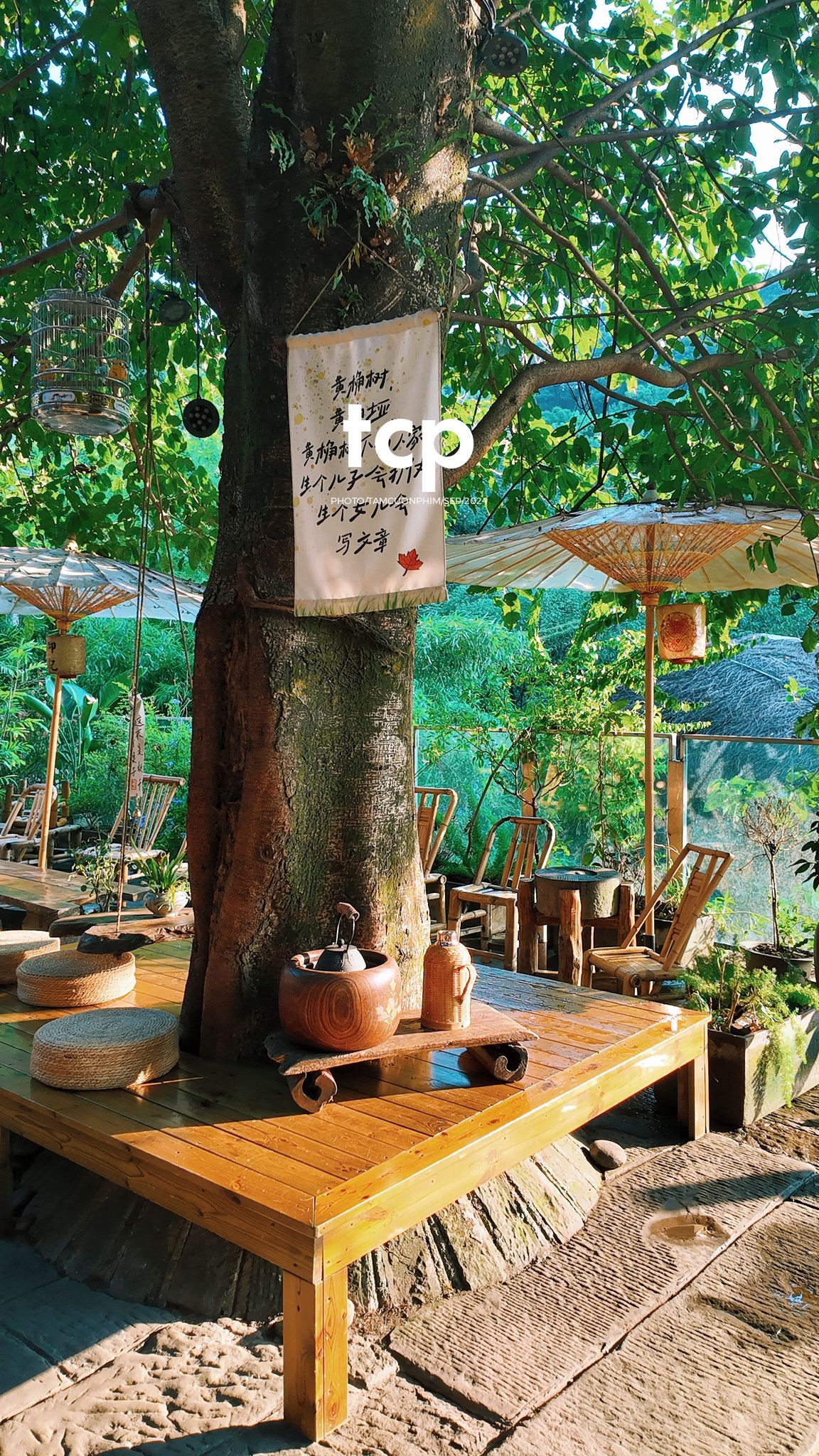 Tám Cuộn Phim - Lần đầu ghé quán đúng lúc nắng đẹp