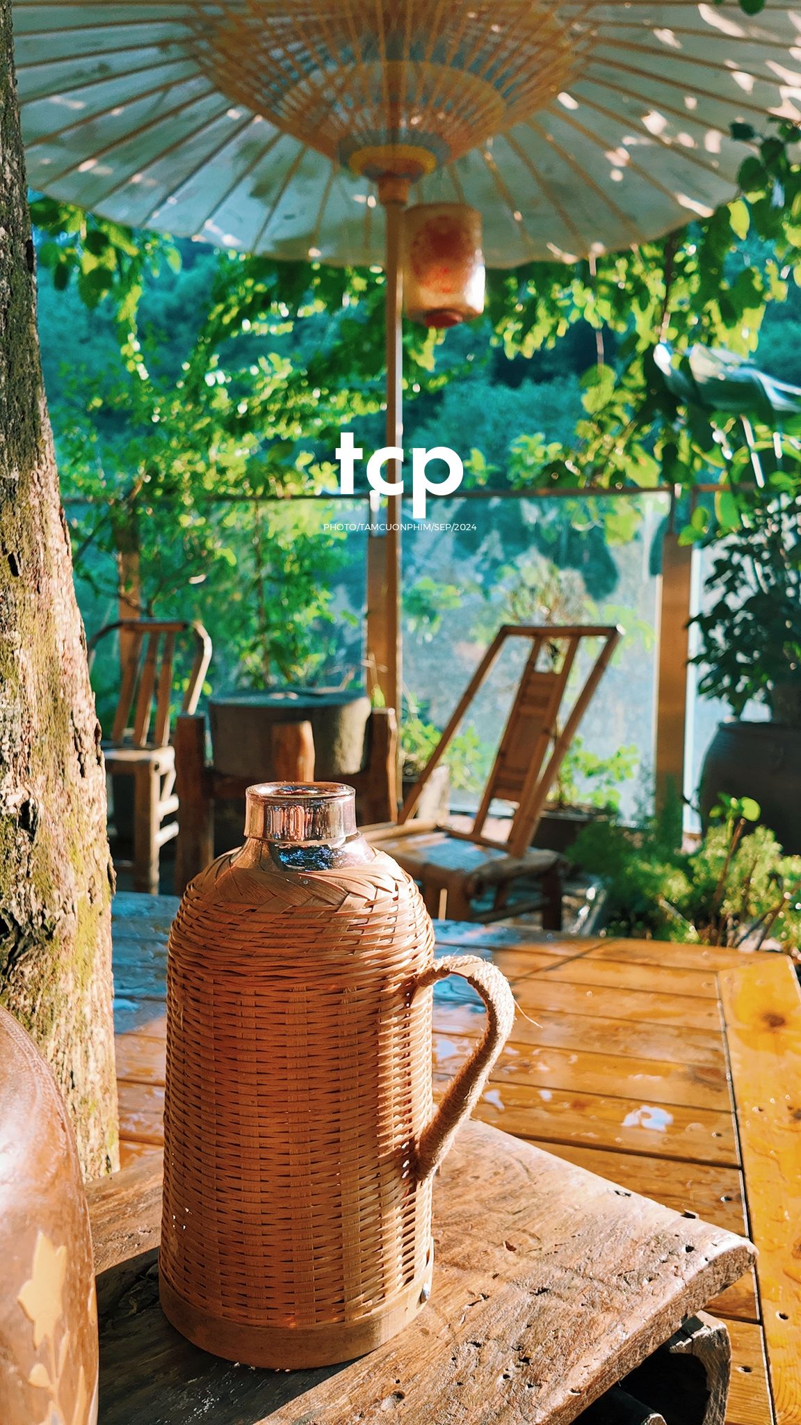 Tám Cuộn Phim - Lần đầu ghé quán đúng lúc nắng đẹp